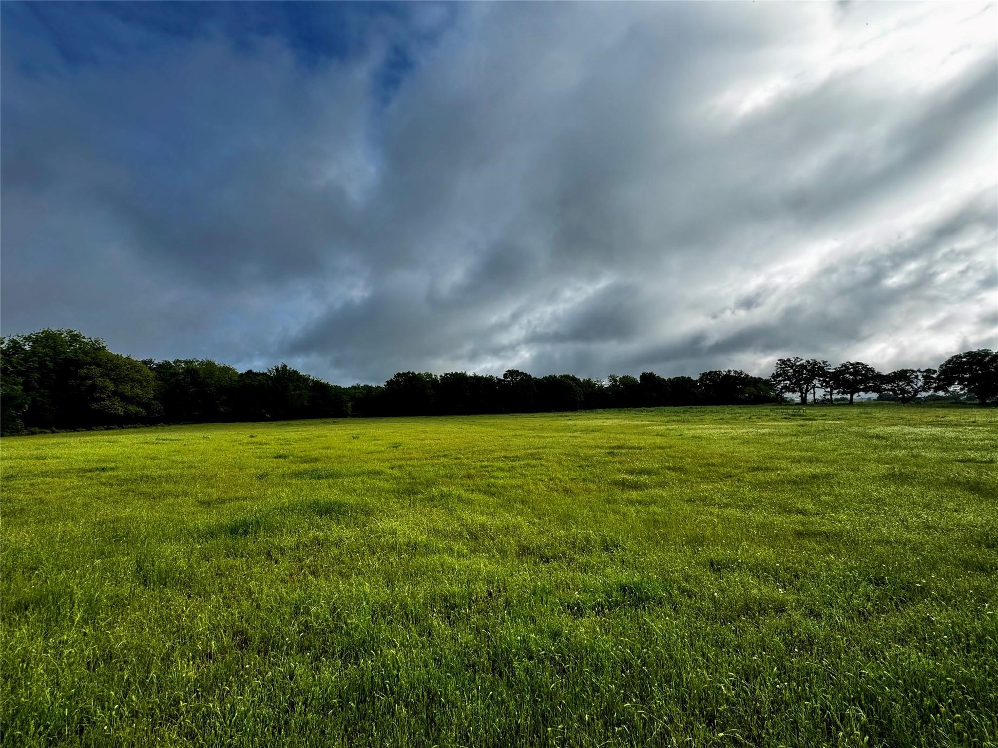 16 Acres Fm 1655 Cr-1460 Chico TX 76431