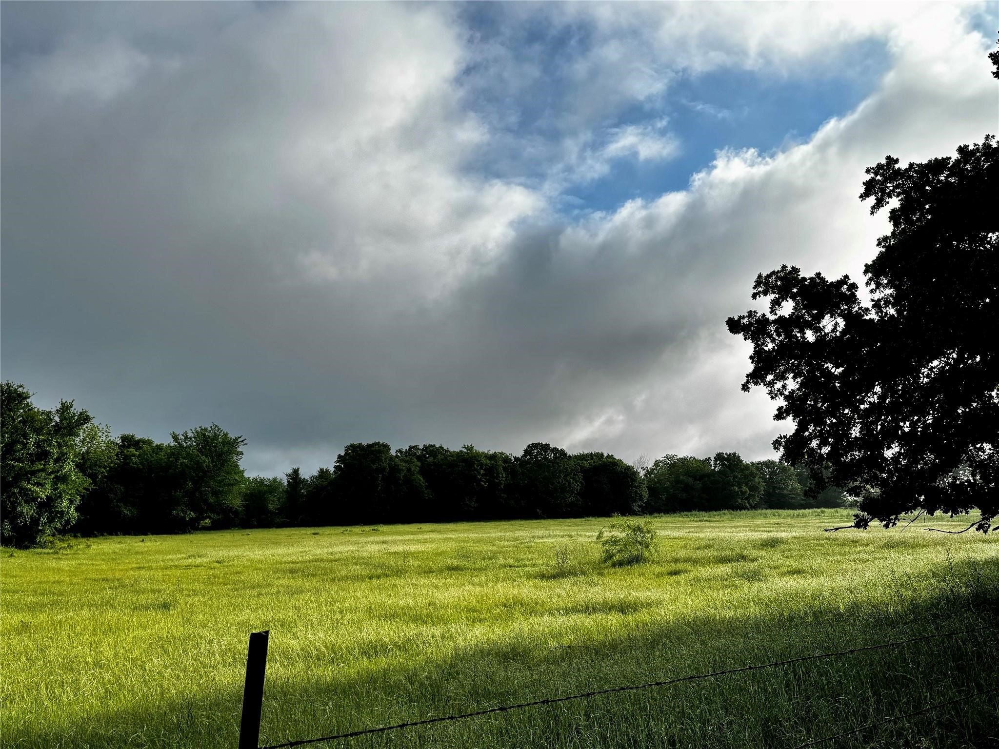 16 Acres Fm 1655 Cr-1460 Chico TX 76431