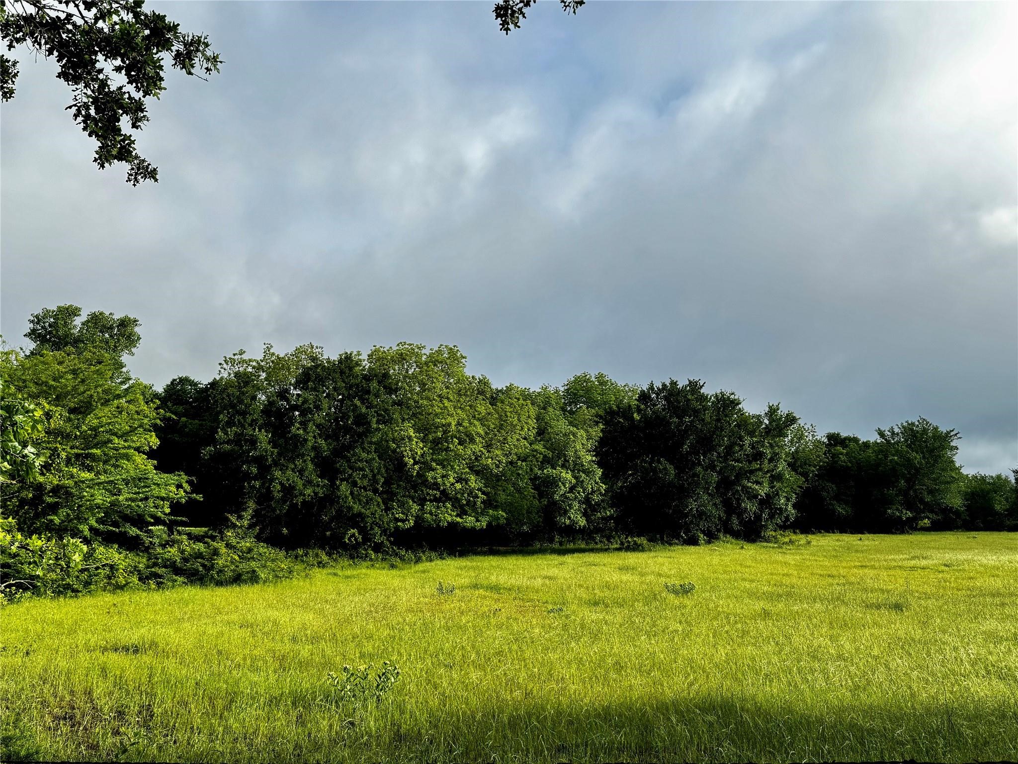 16 Acres Fm 1655 Cr-1460 Chico TX 76431