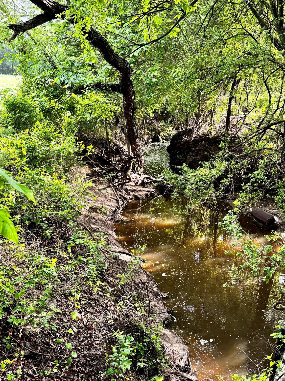16 Acres Fm 1655 Cr-1460 Chico TX 76431