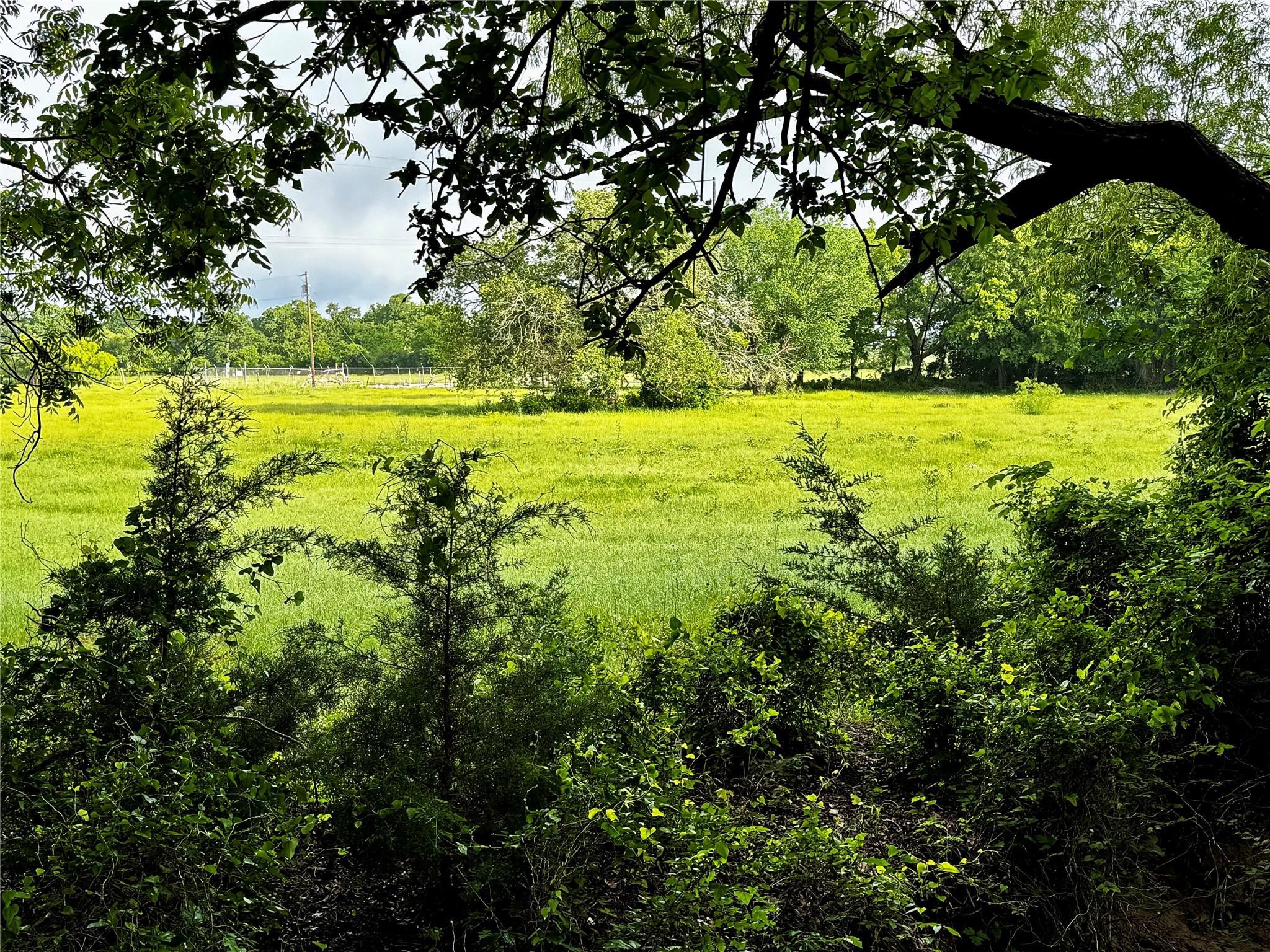 16 Acres Fm 1655 Cr-1460 Chico TX 76431