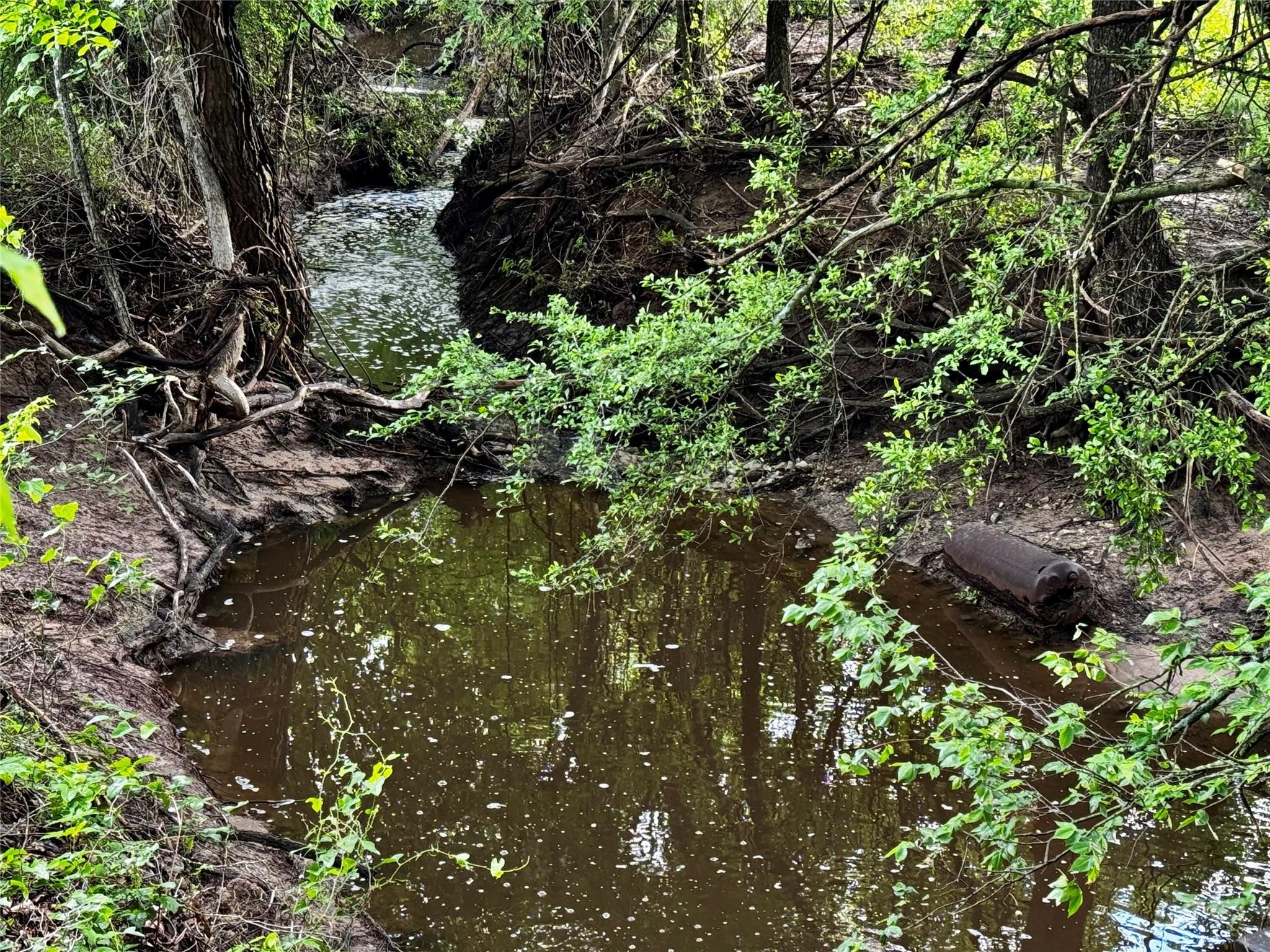 16 Acres Fm 1655 Cr-1460 Chico TX 76431