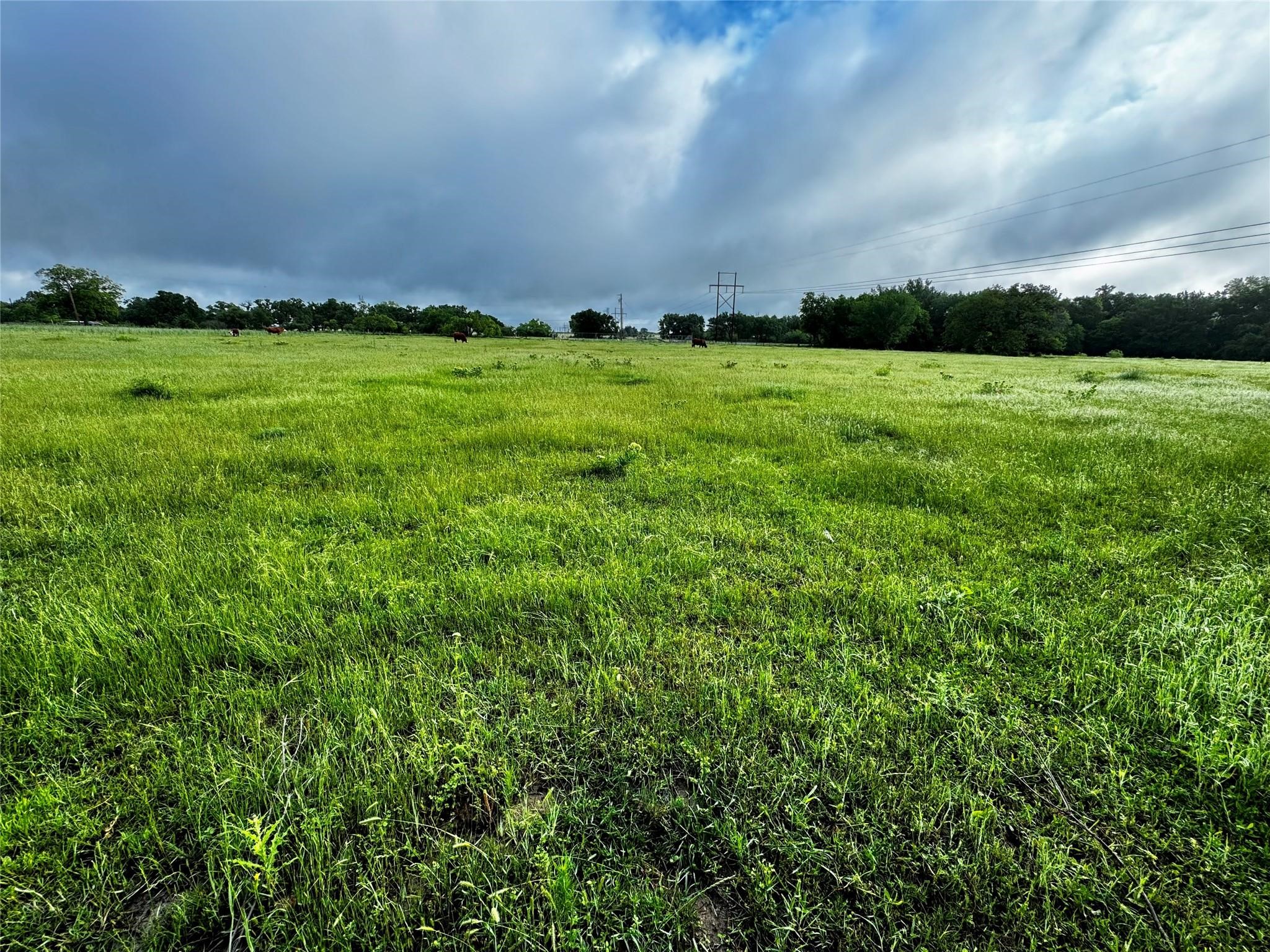 16 Acres Fm 1655 Cr-1460 Chico TX 76431