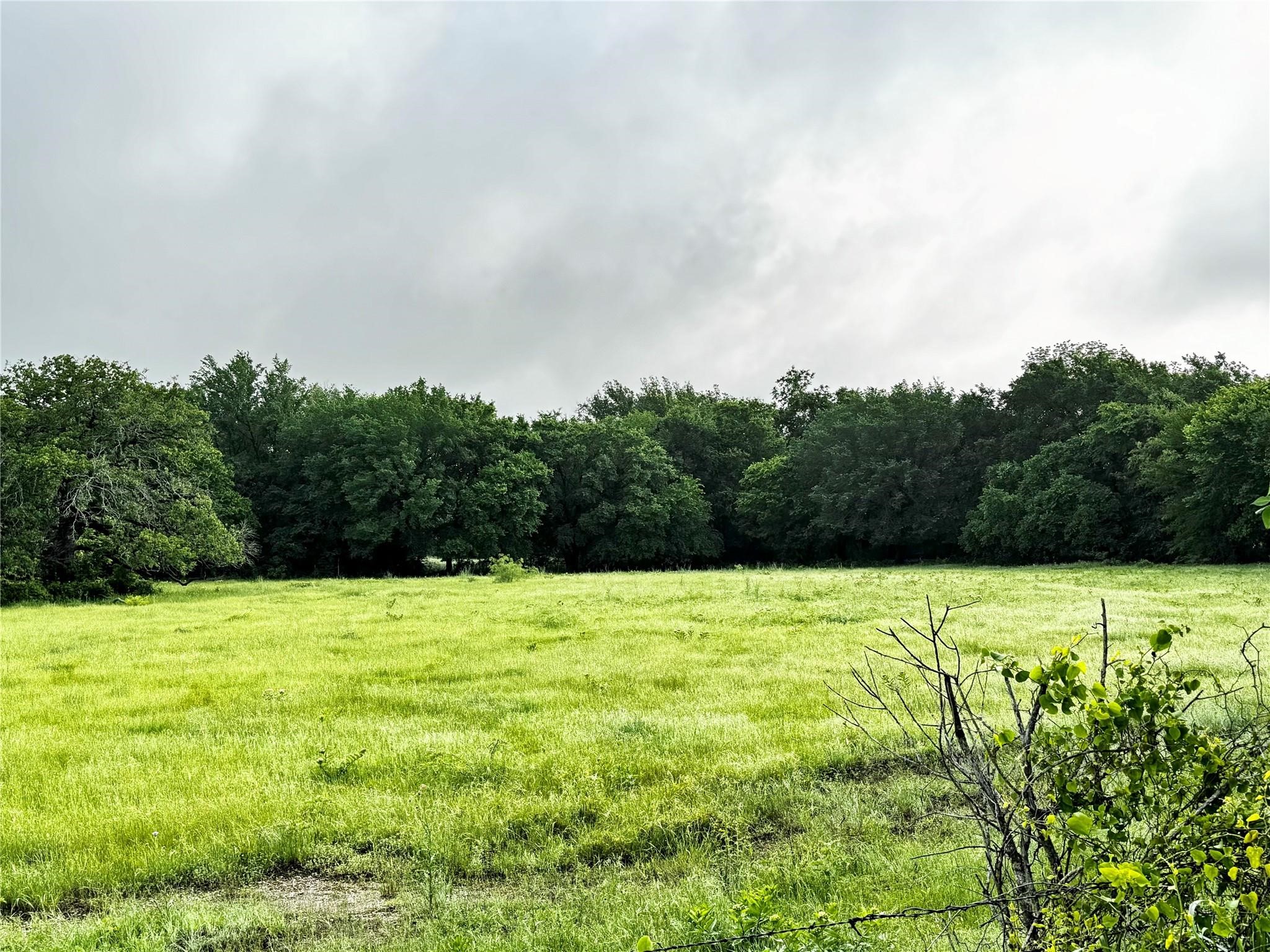 16 Acres Fm 1655 Cr-1460 Chico TX 76431