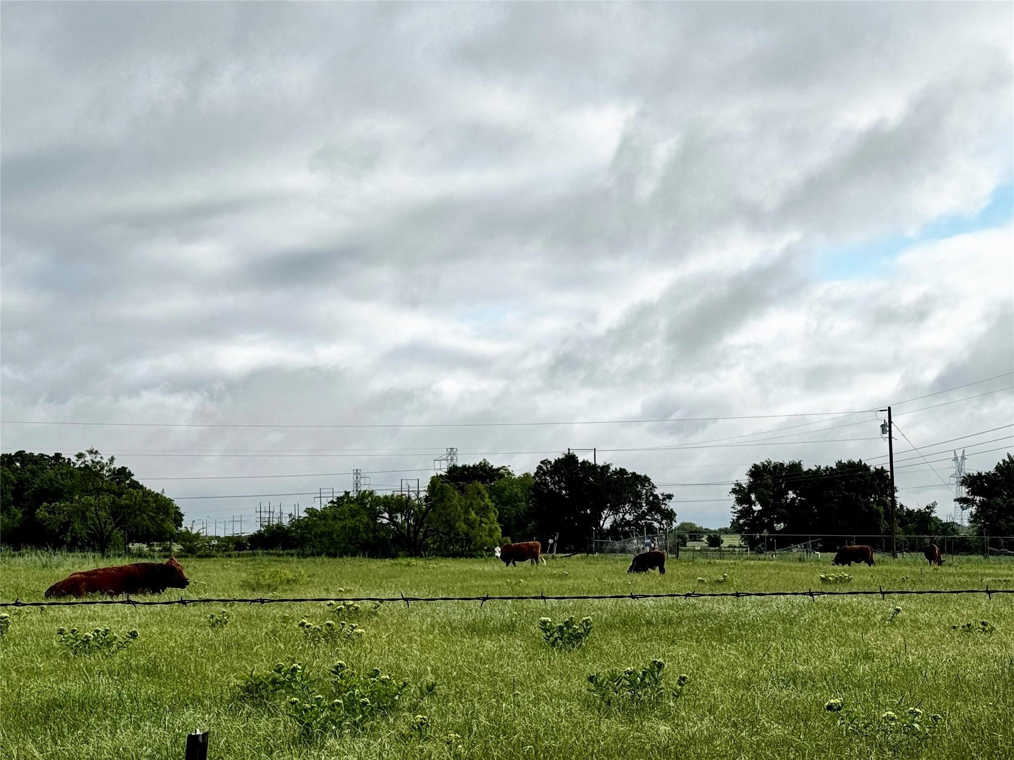16 Acres Fm 1655 Cr-1460 Chico TX 76431