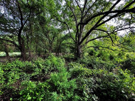 16 Acres Fm 1655 Cr-1460 Chico TX 76431