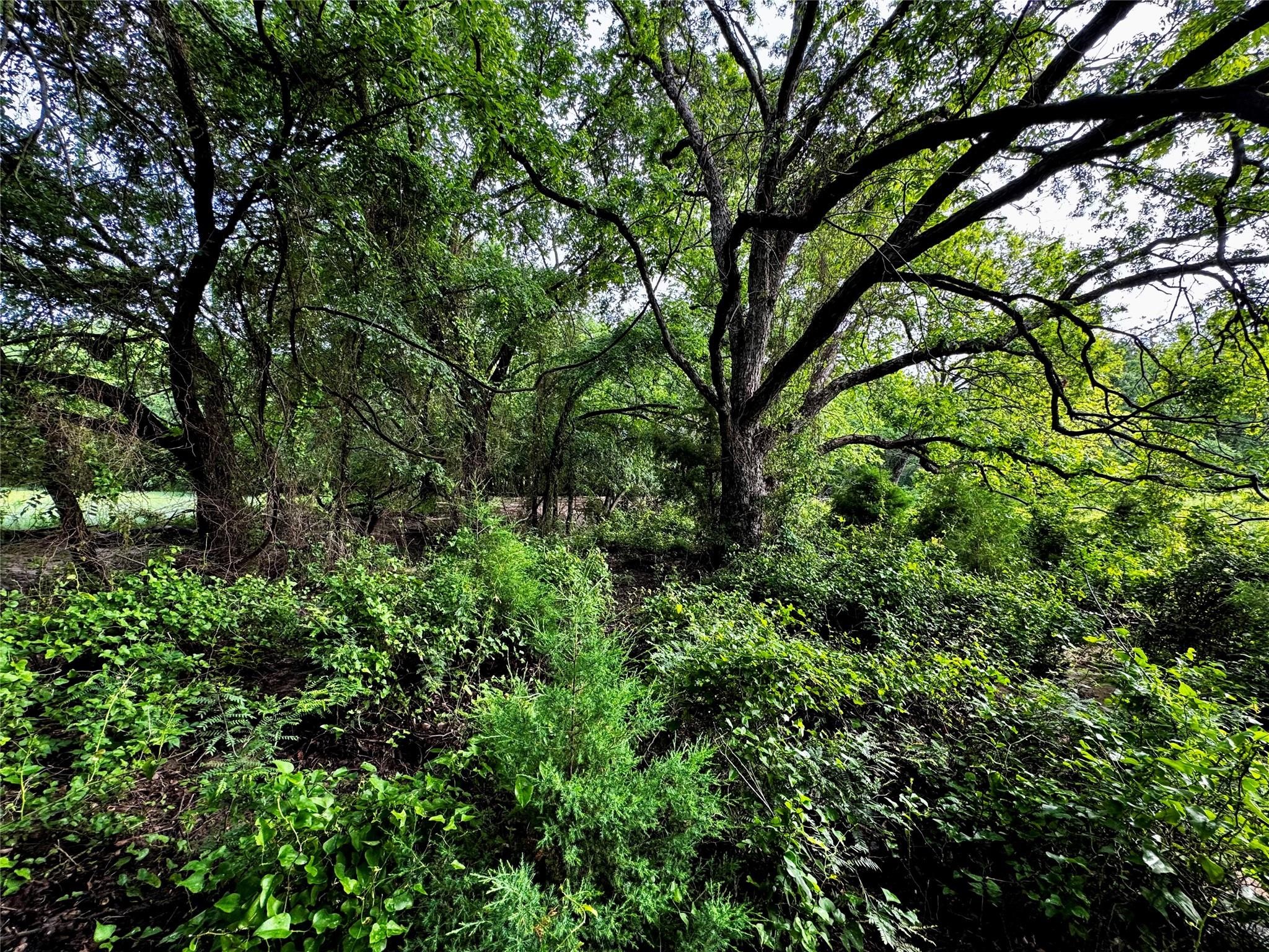16 Acres Fm 1655 Cr-1460 Chico TX 76431