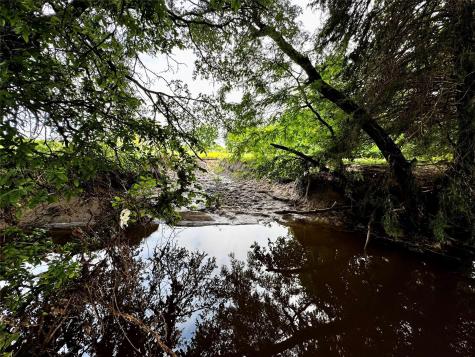 16 Acres Fm 1655 Cr-1460 Chico TX 76431