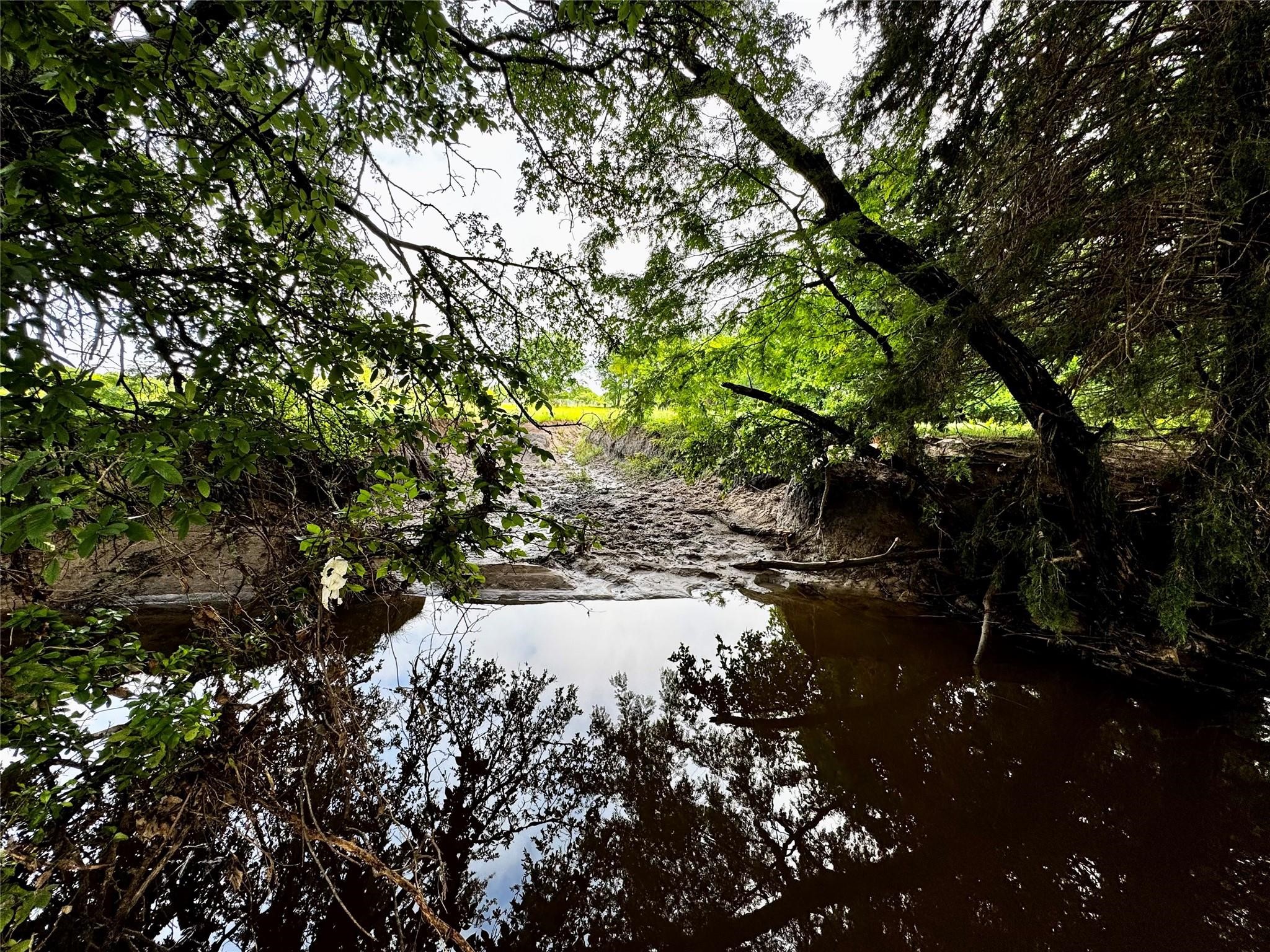 16 Acres Fm 1655 Cr-1460 Chico TX 76431