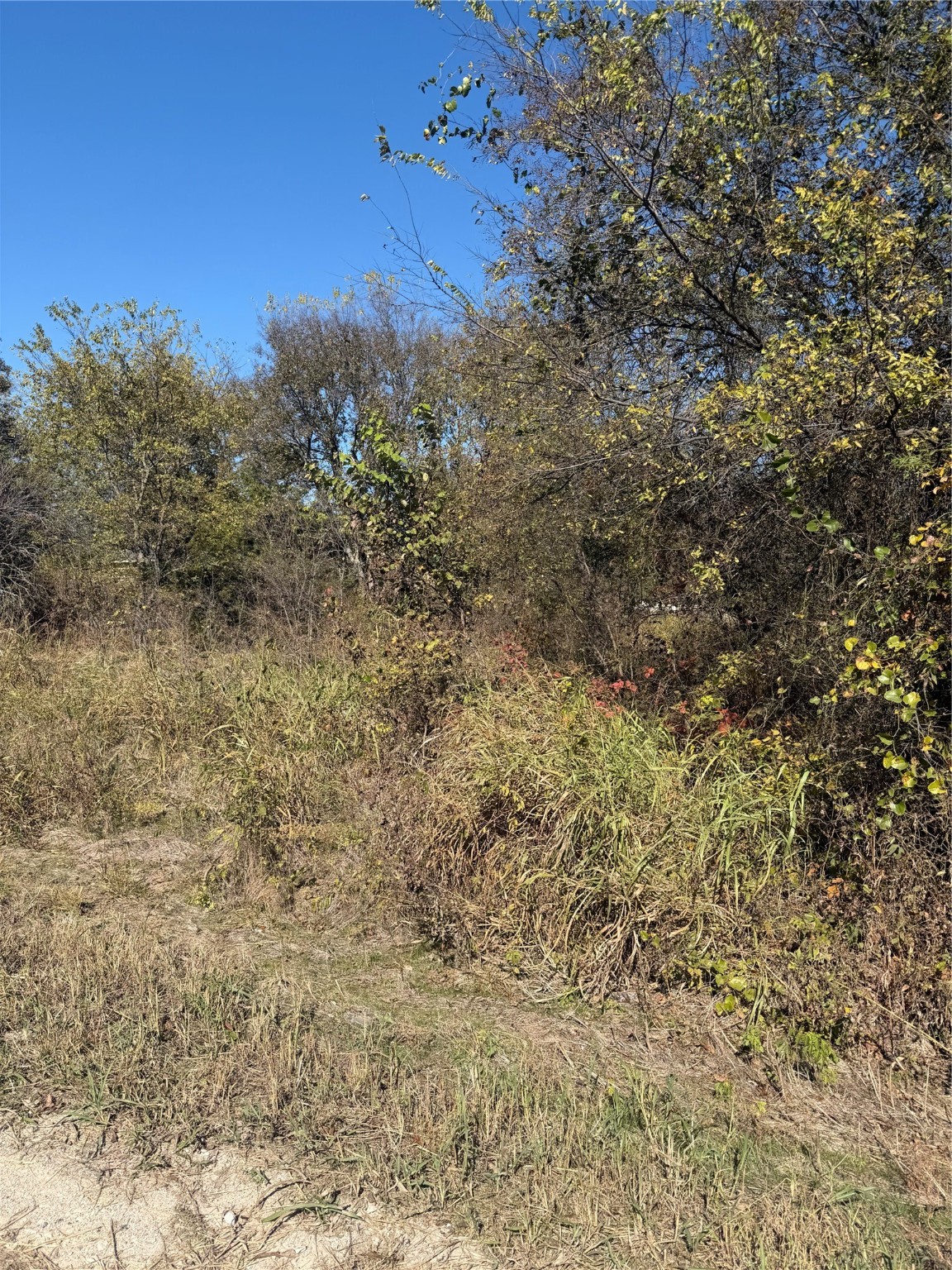 0000 Ridge Crest Lone Oak TX 75453