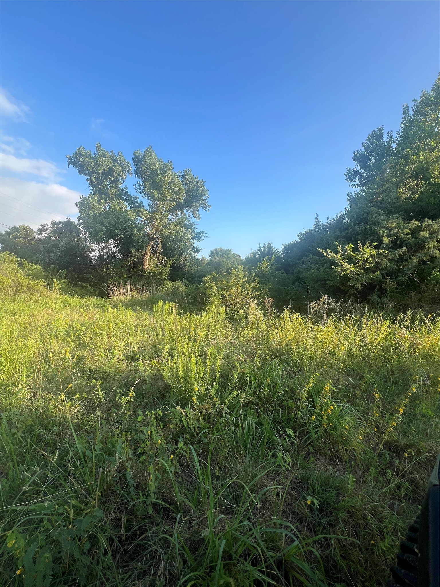 5549 S Fm 730 Decatur TX 76234