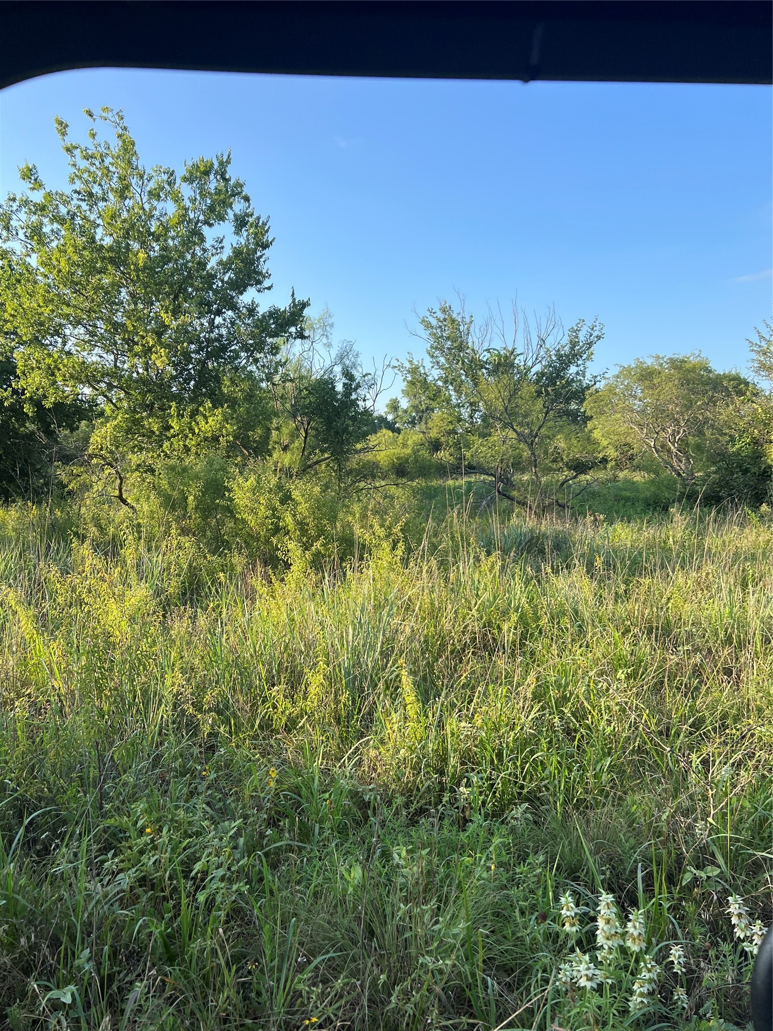5549 S Fm 730 Decatur TX 76234