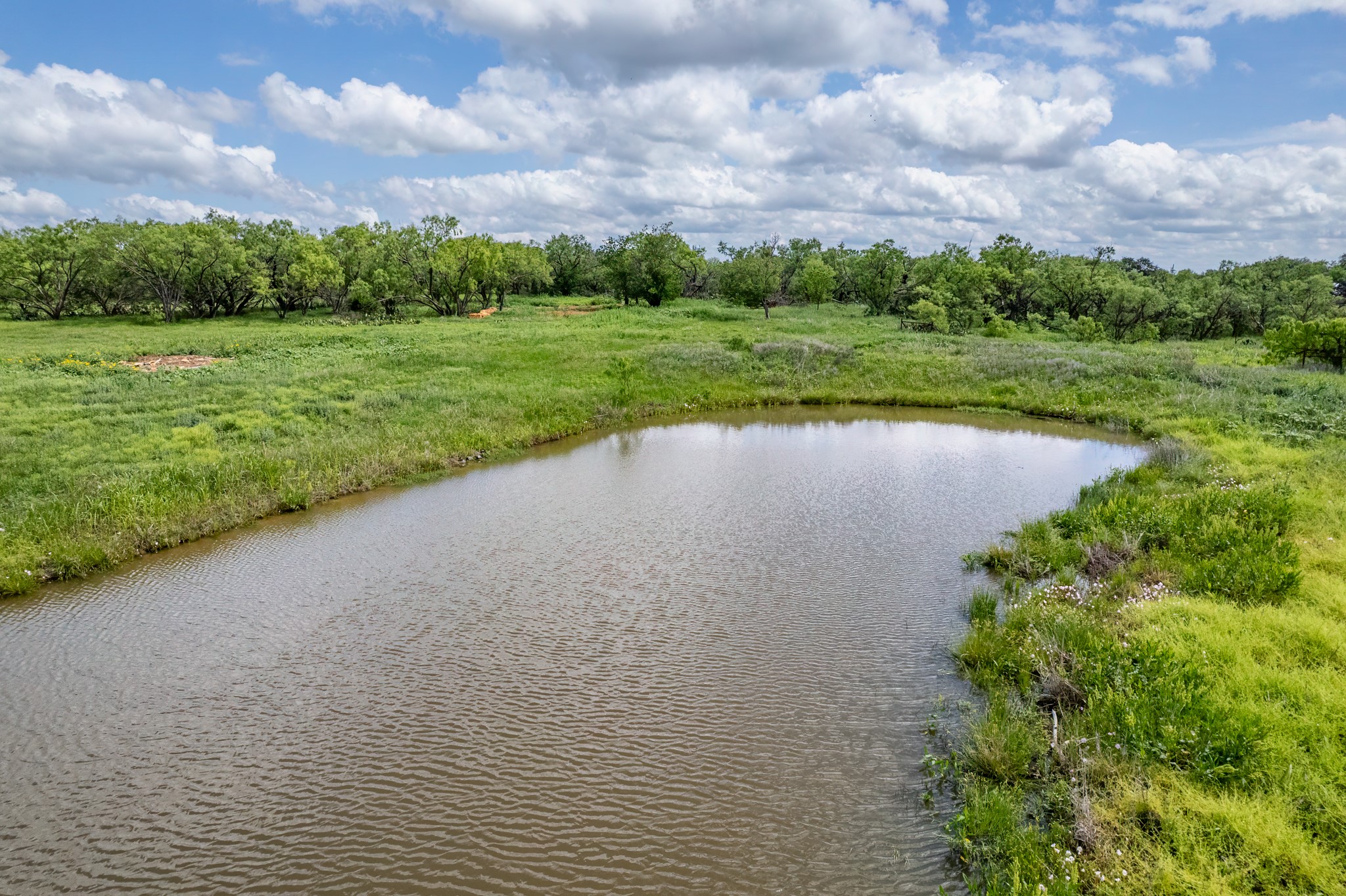 13948 Us Highway 283 Santa Anna TX 76878