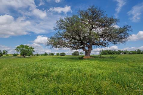 13948 Us Highway 283 Santa Anna TX 76878