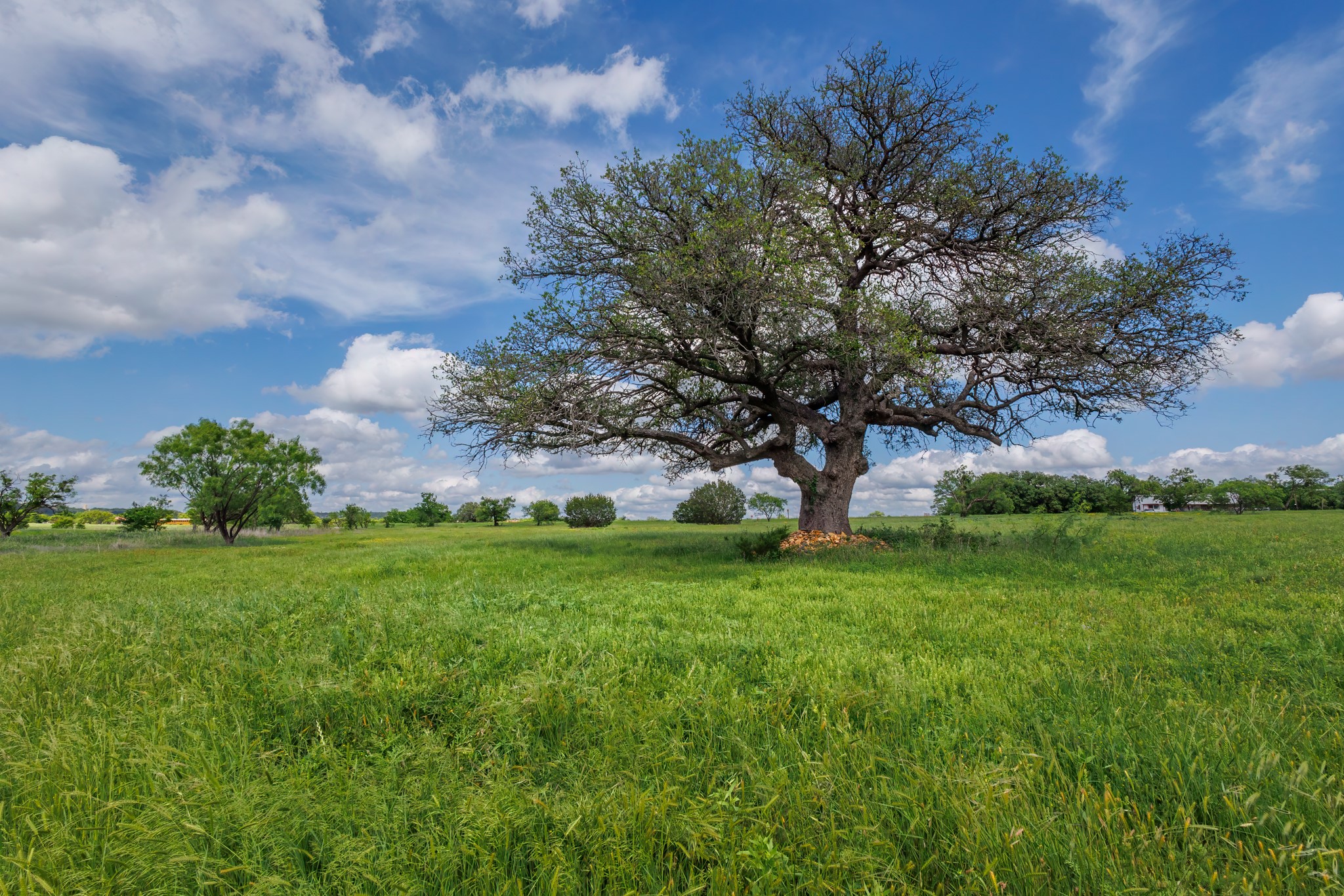 13948 Us Highway 283 Santa Anna TX 76878