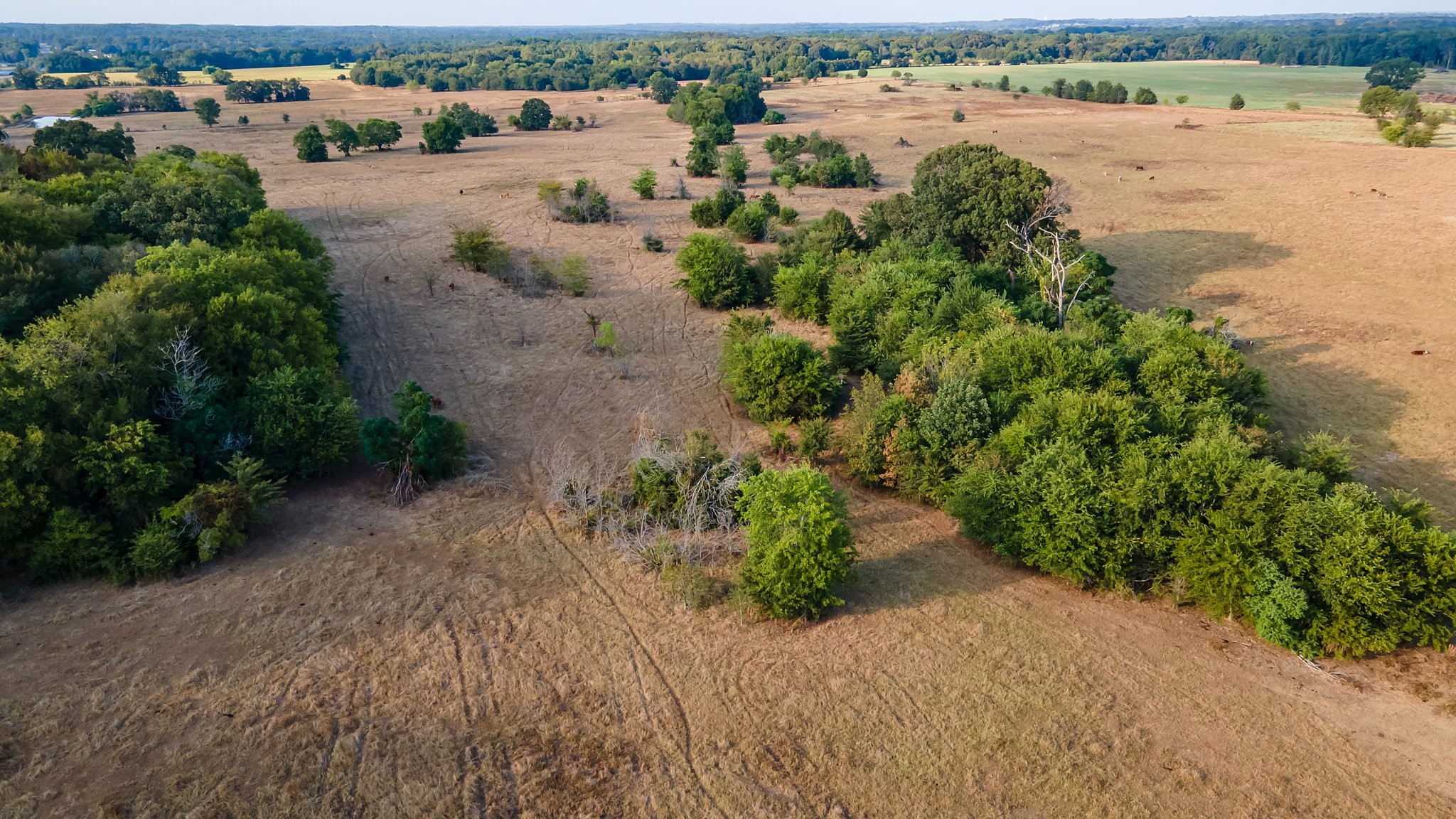 00 W Fm 344 Bullard TX 75757