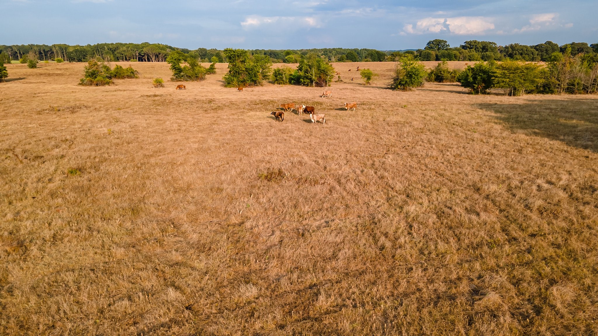 00 W Fm 344 Bullard TX 75757