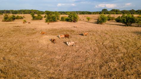 00 W Fm 344 Bullard TX 75757