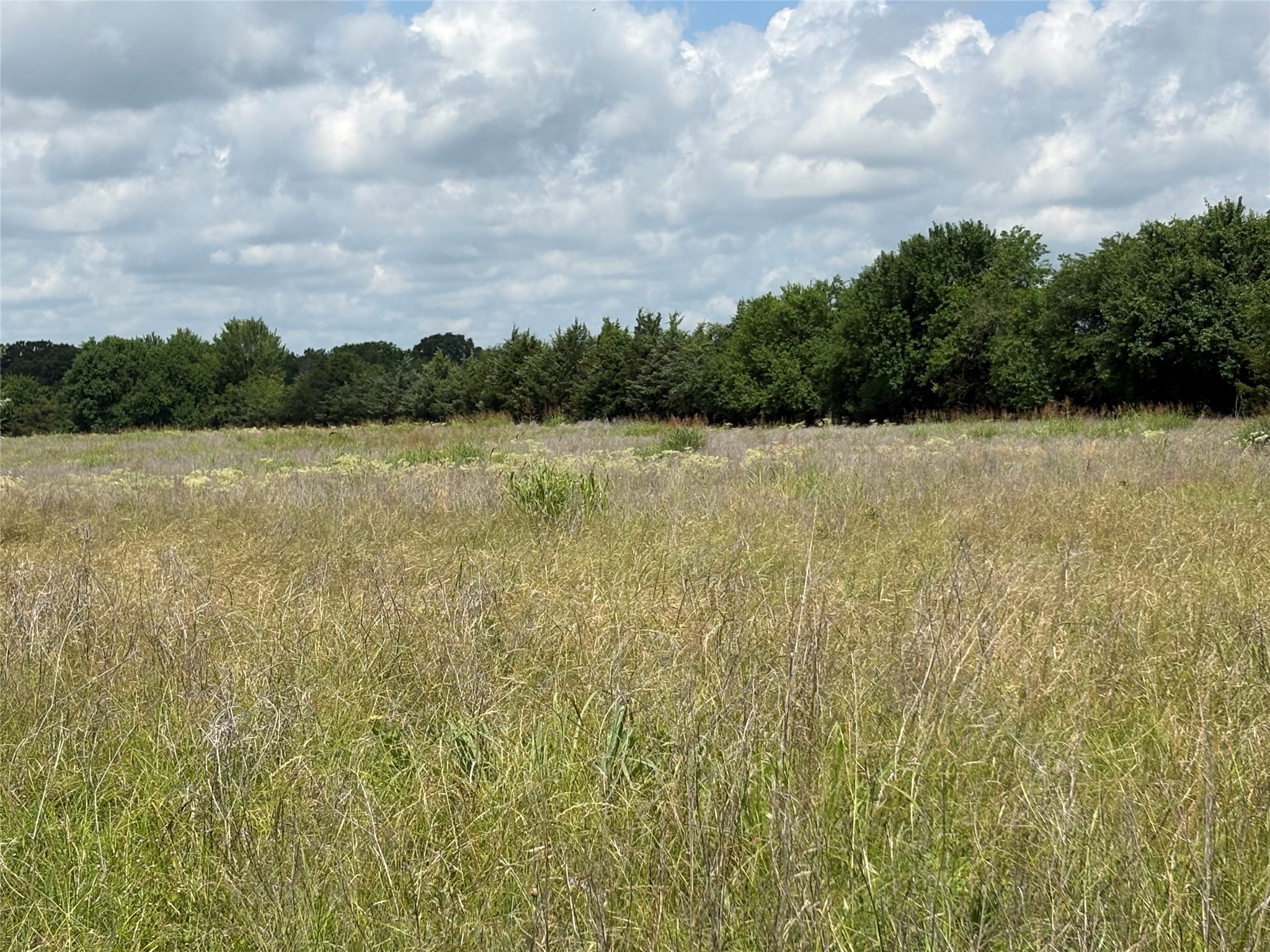Tbd County Road 1280 Clarksville TX 75426