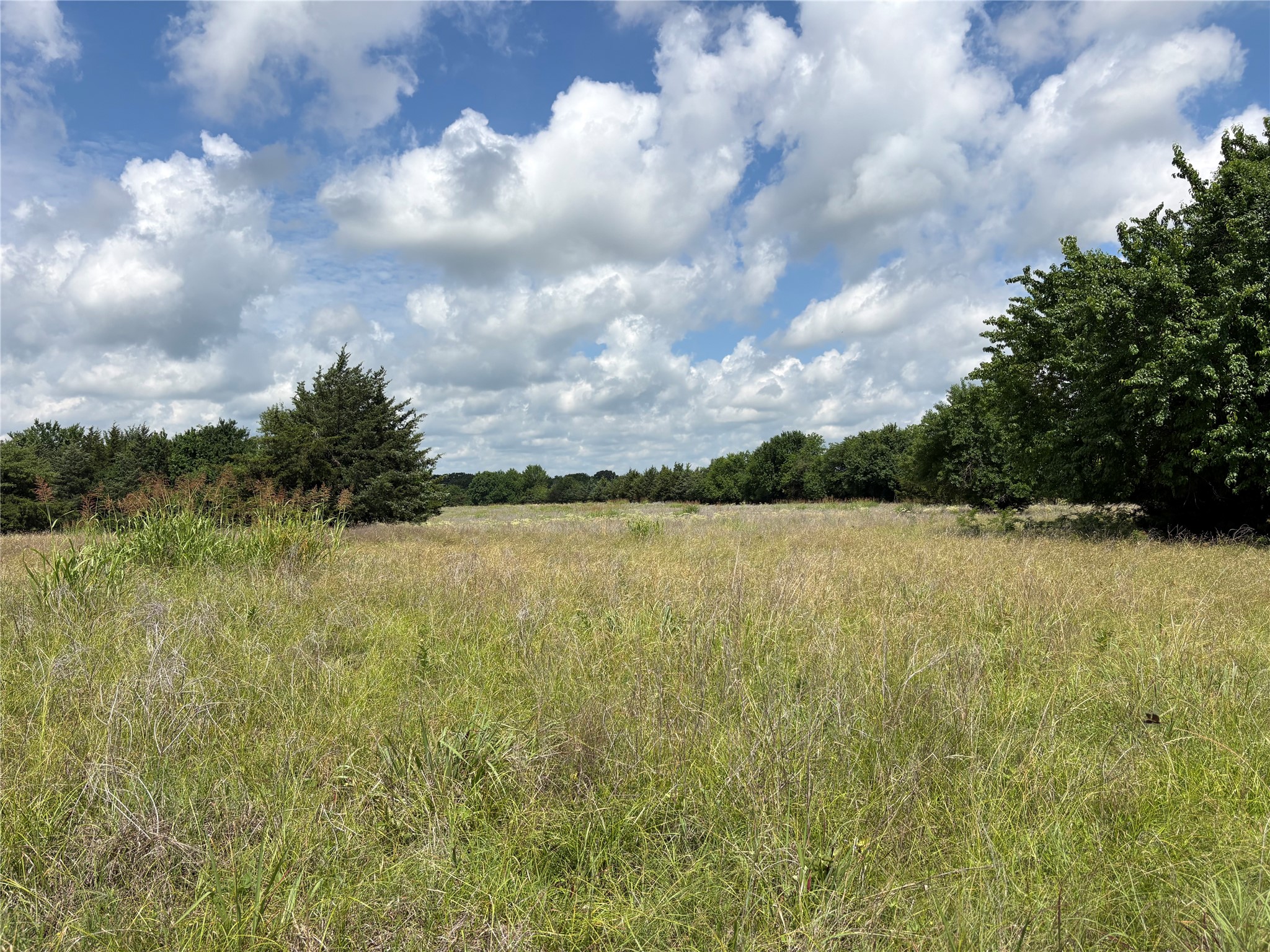 Tbd County Road 1280 Clarksville TX 75426