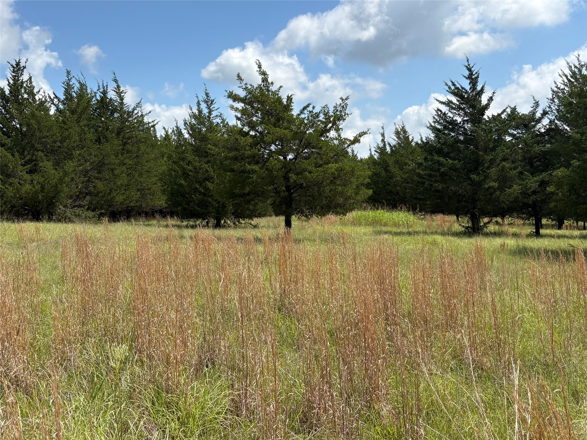 Tbd County Road 1280 Clarksville TX 75426