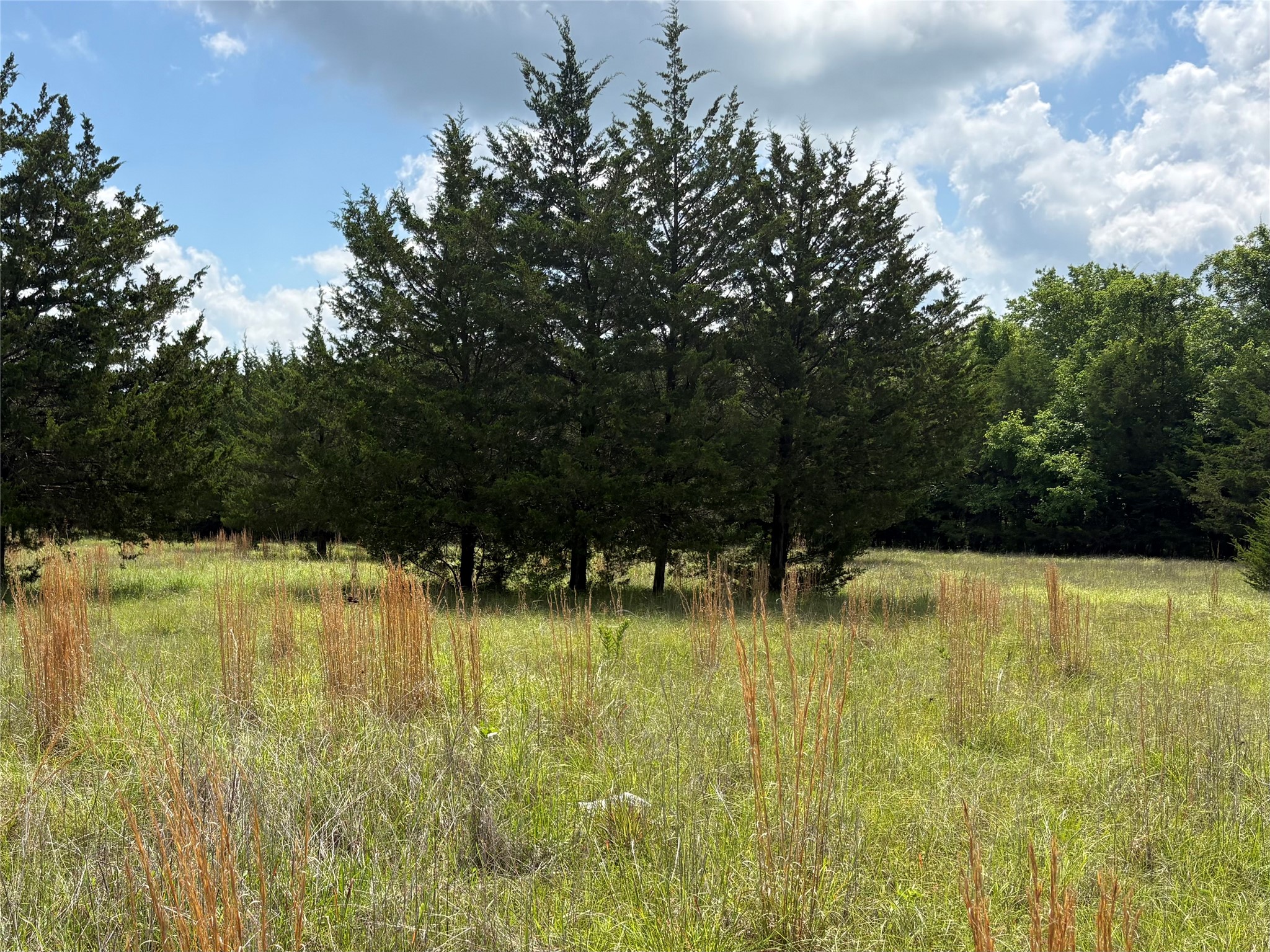 Tbd County Road 1280 Clarksville TX 75426