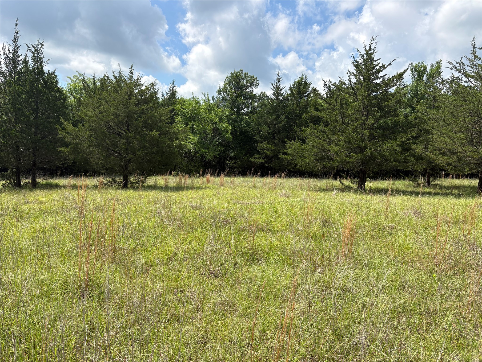 Tbd County Road 1280 Clarksville TX 75426