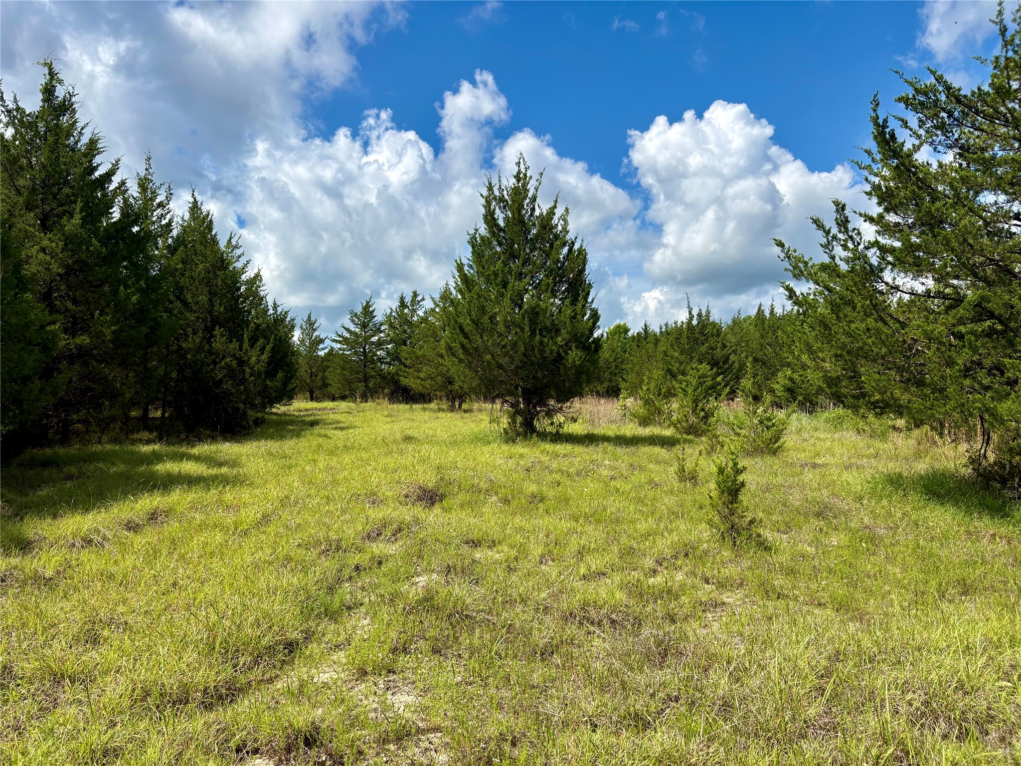 Tbd County Road 1280 Clarksville TX 75426
