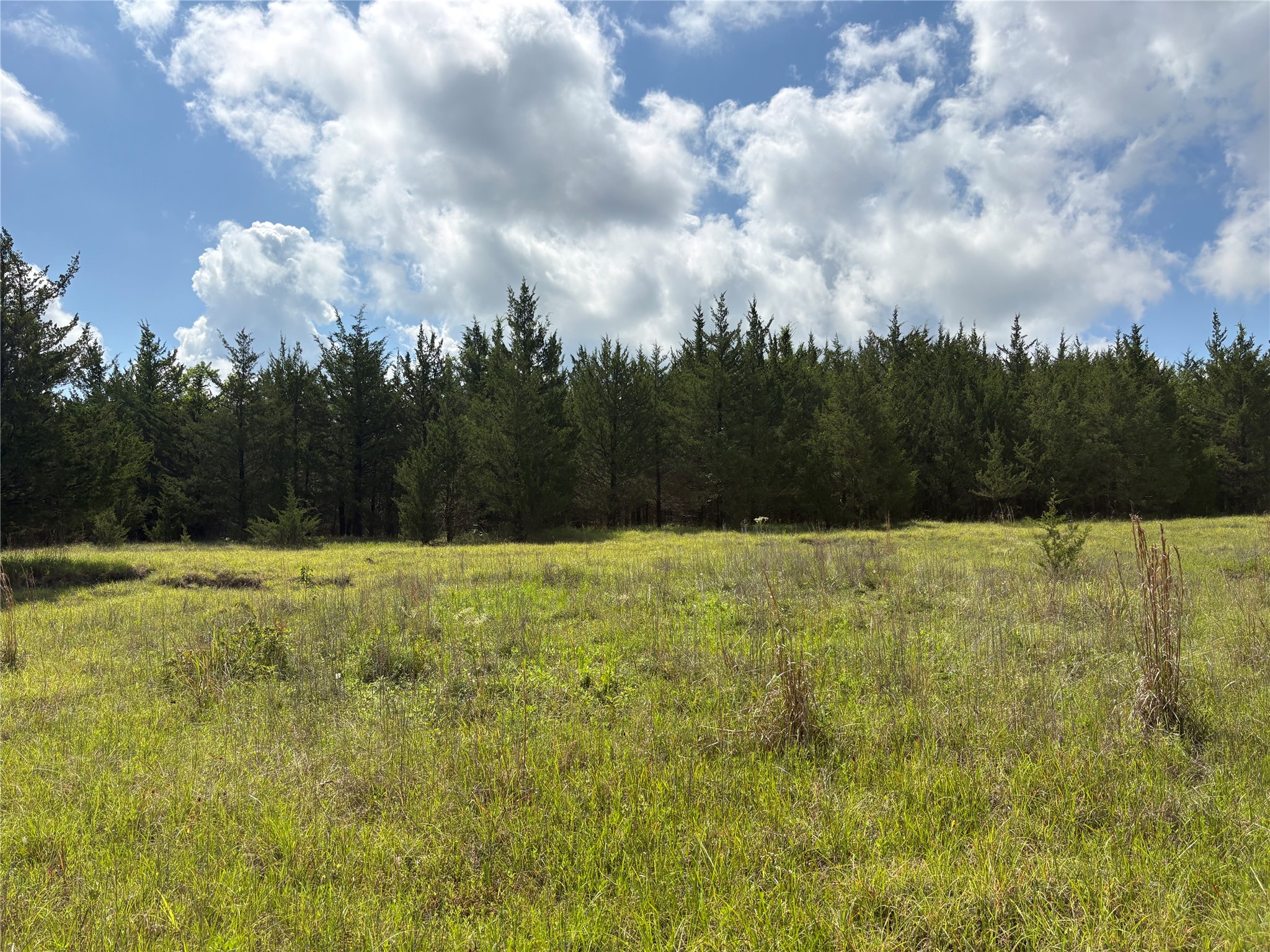 Tbd County Road 1280 Clarksville TX 75426