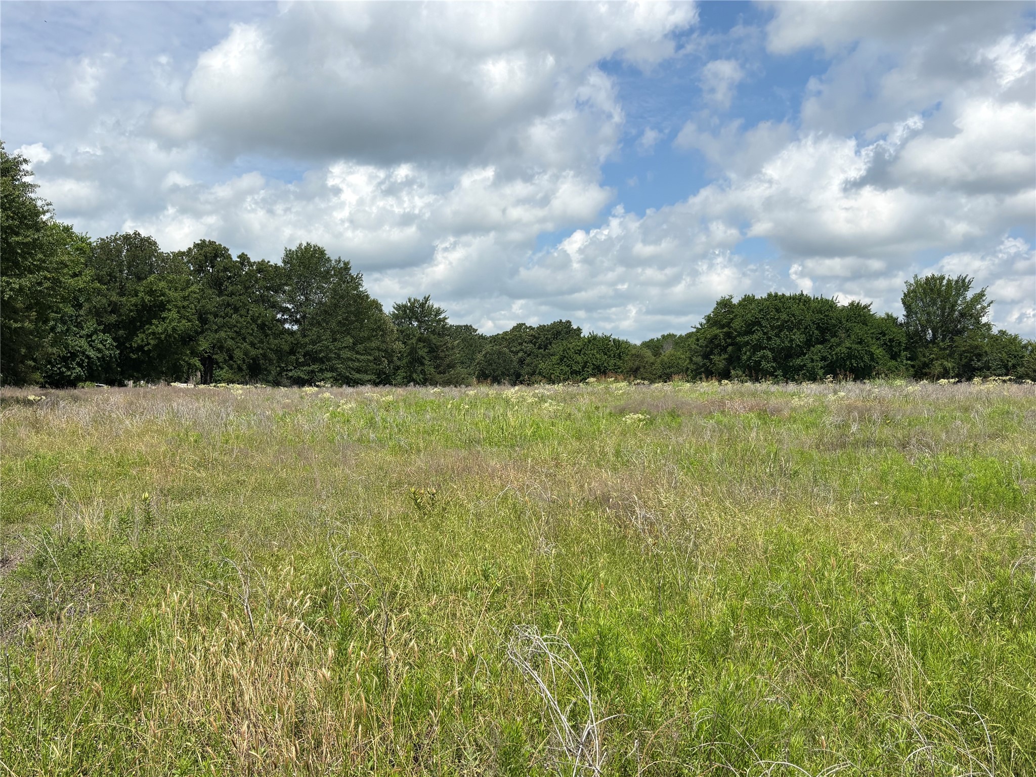 Tbd County Road 1280 Clarksville TX 75426