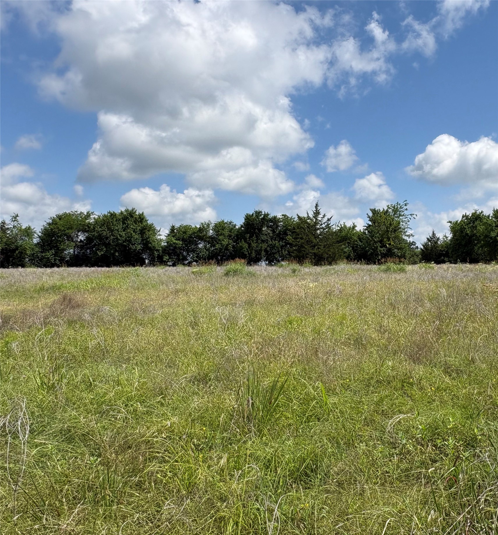 Tbd County Road 1280 Clarksville TX 75426