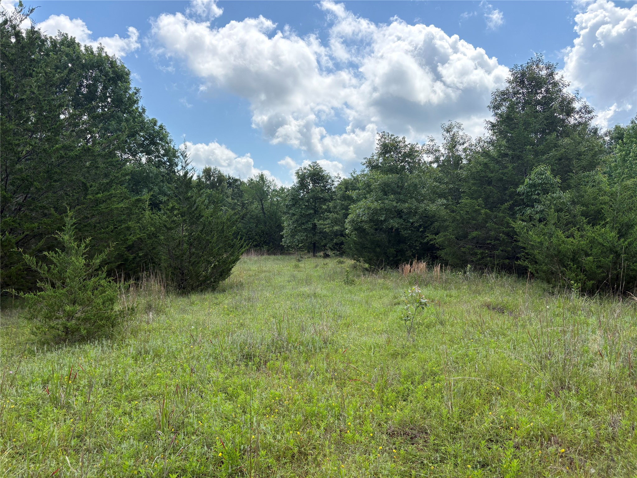 Tbd County Road 1280 Clarksville TX 75426