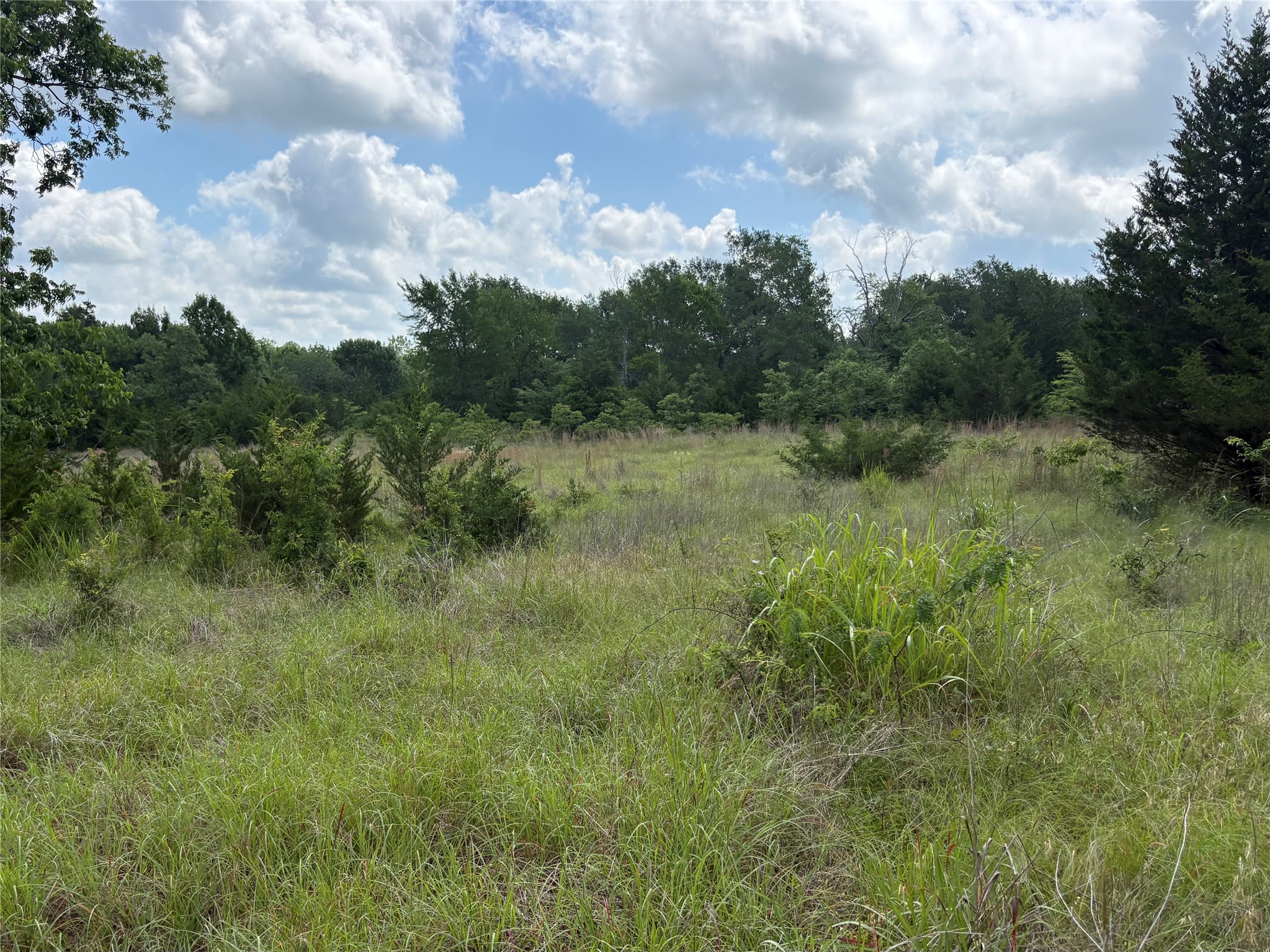Tbd County Road 1280 Clarksville TX 75426