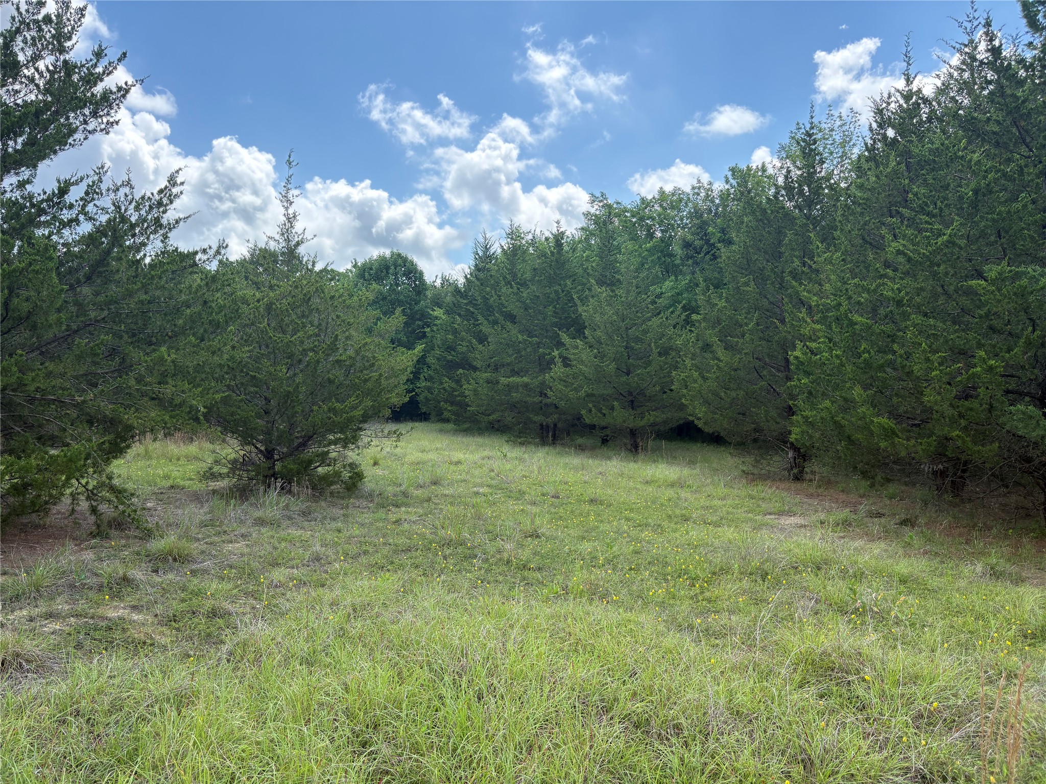 Tbd County Road 1280 Clarksville TX 75426