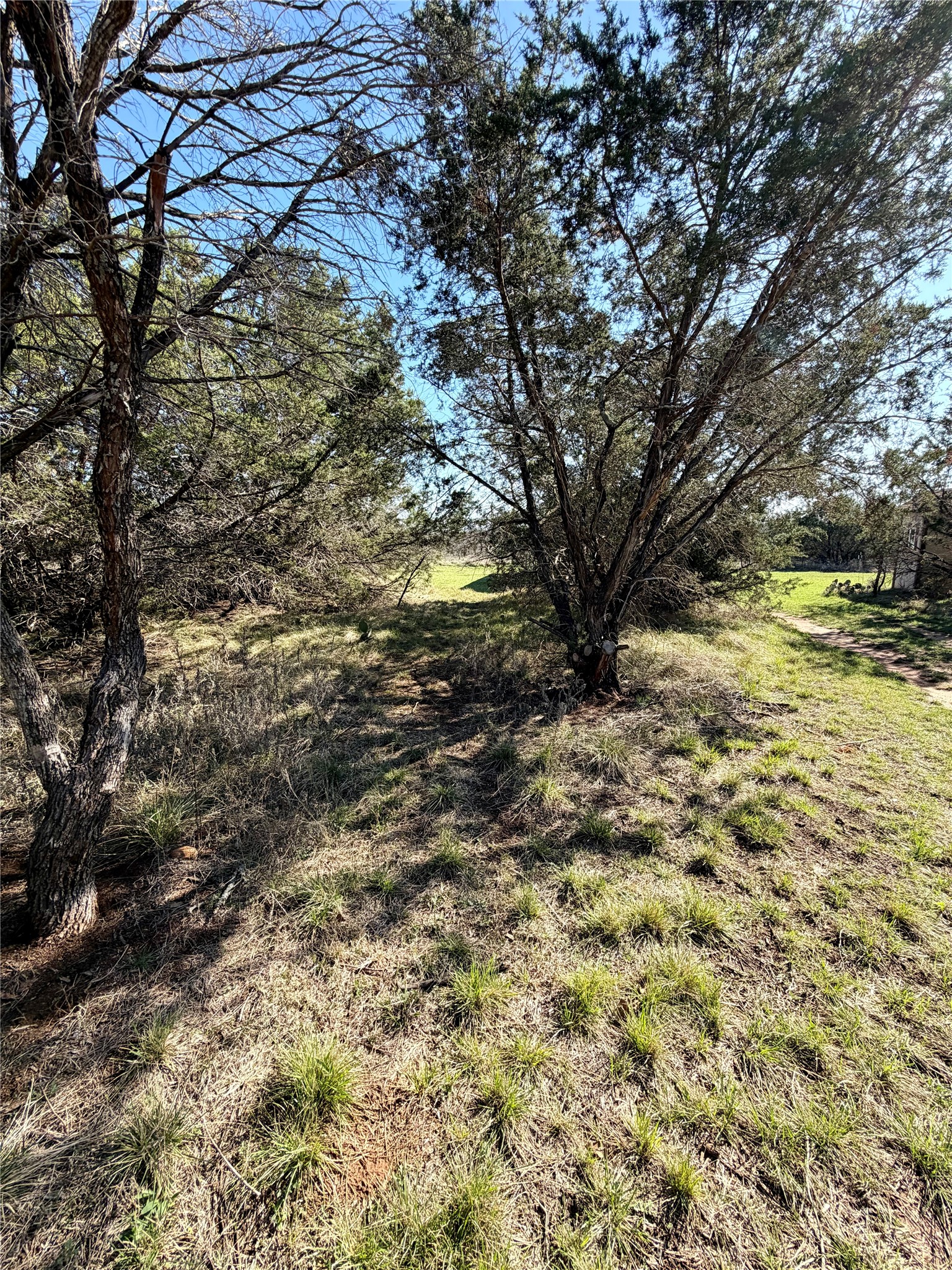 640 M24 Road Ranger TX 76470