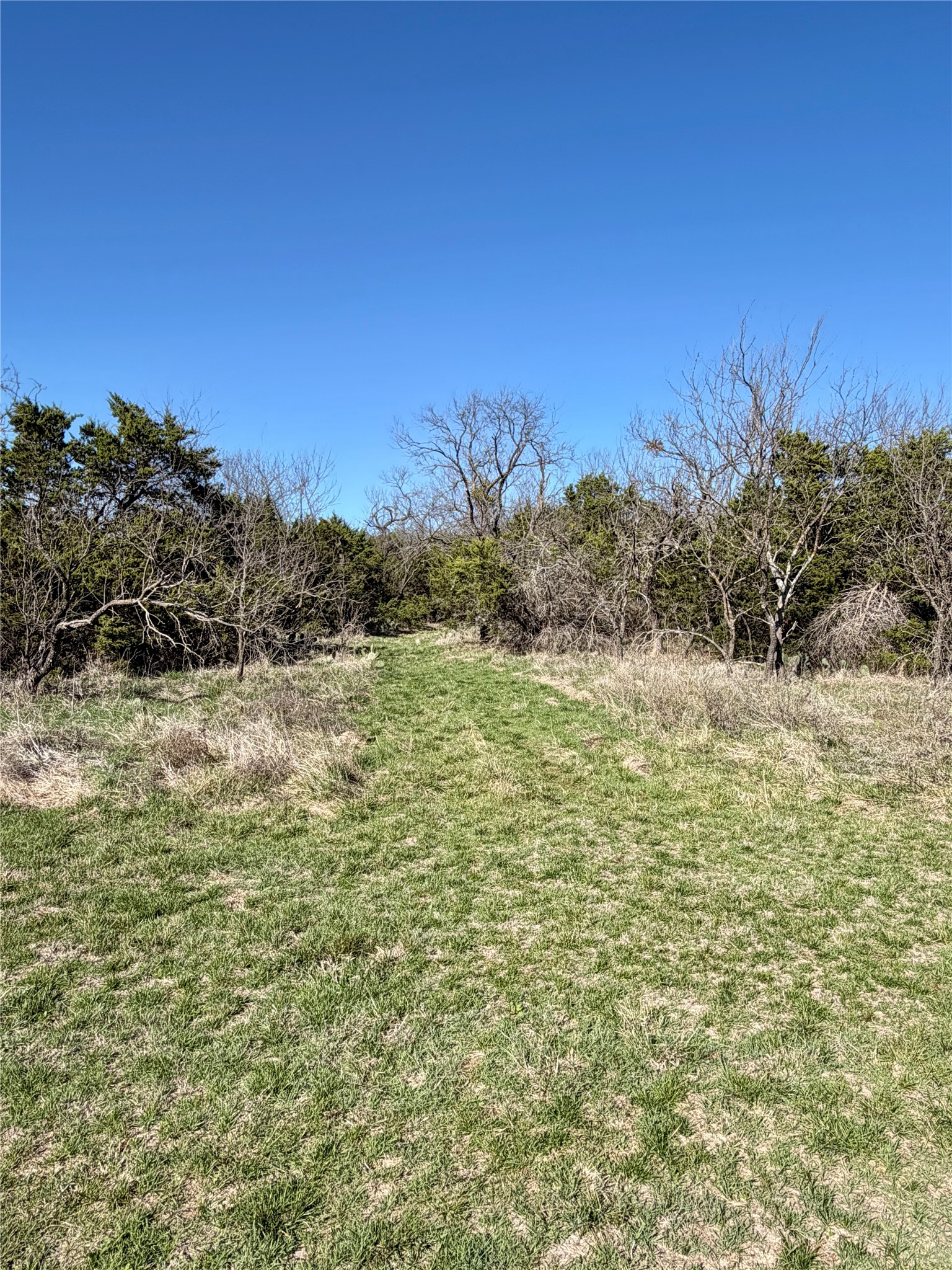 640 M24 Road Ranger TX 76470
