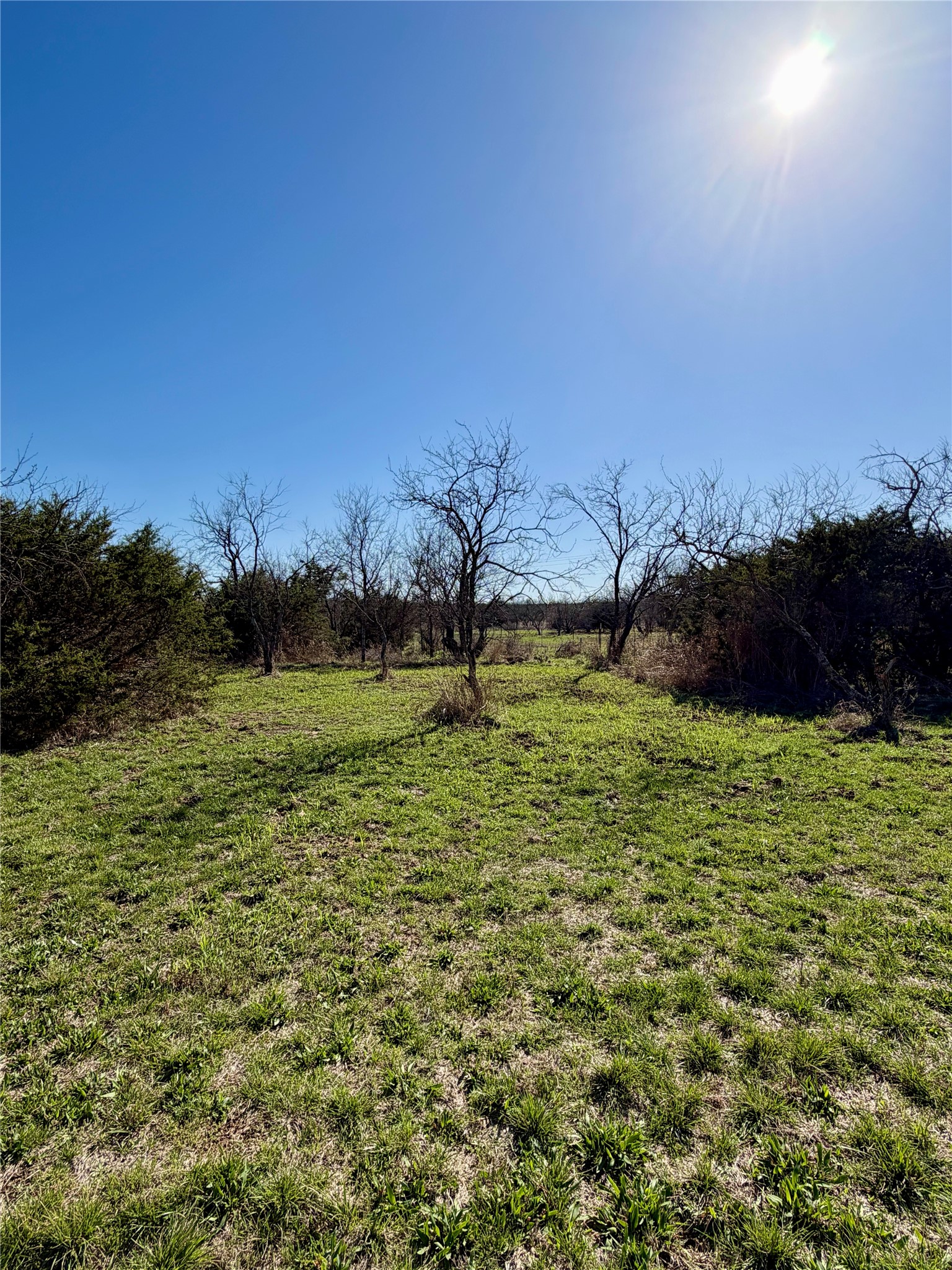 640 M24 Road Ranger TX 76470