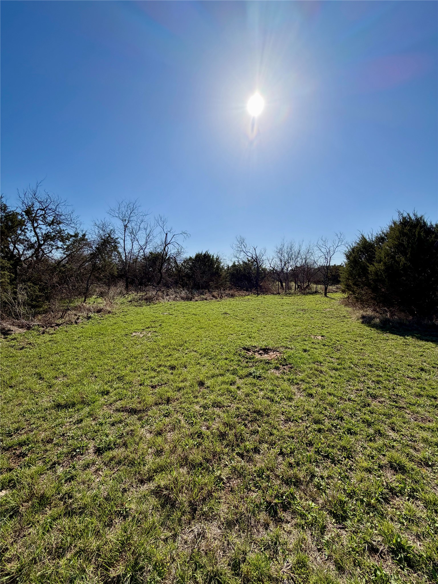 640 M24 Road Ranger TX 76470