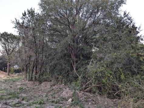 914 Indian Creek Drive Granbury TX 76048