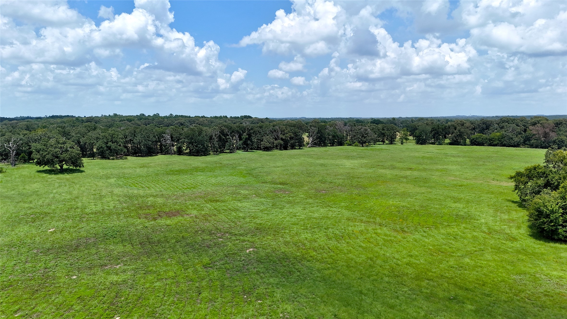 Tbd Cr 4613 Athens TX 75751