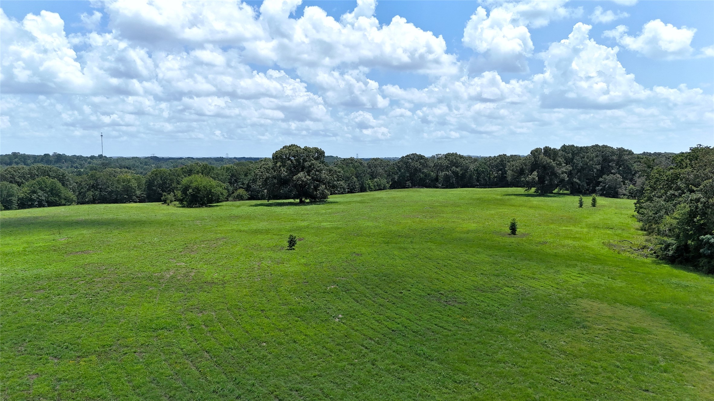 Tbd Cr 4613 Athens TX 75751