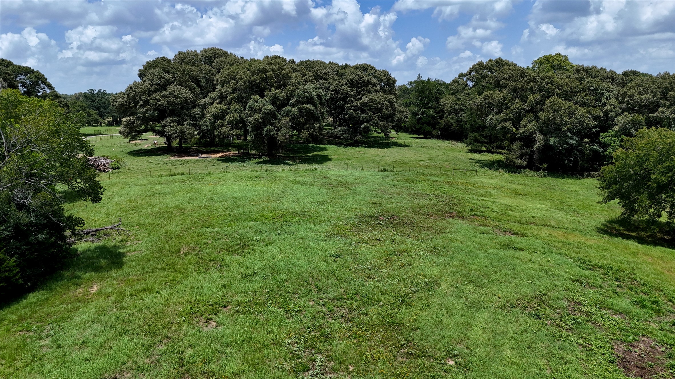 Tbd Cr 4613 Athens TX 75751