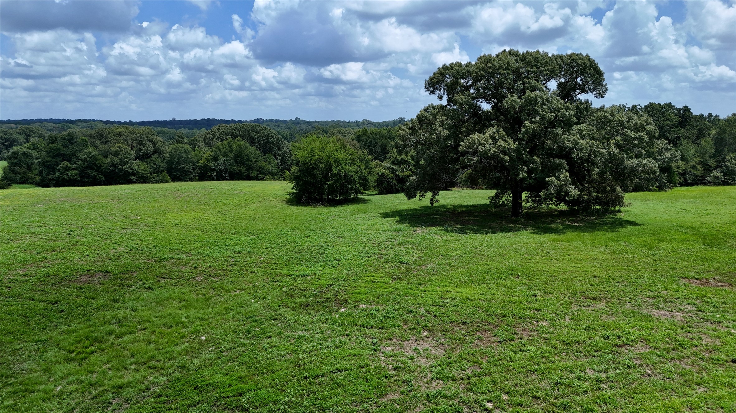 Tbd Cr 4613 Athens TX 75751