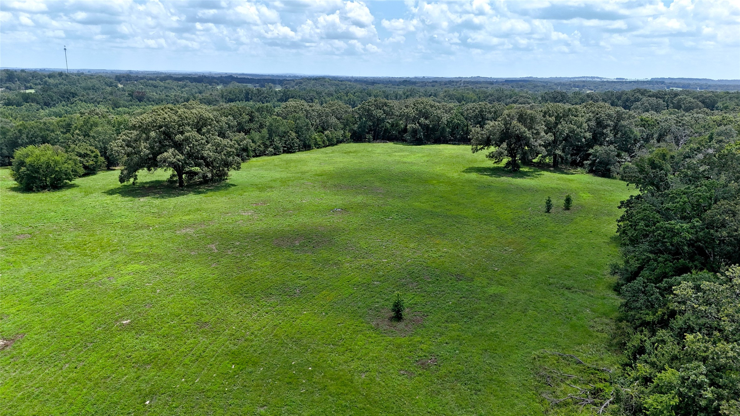 Tbd Cr 4613 Athens TX 75751