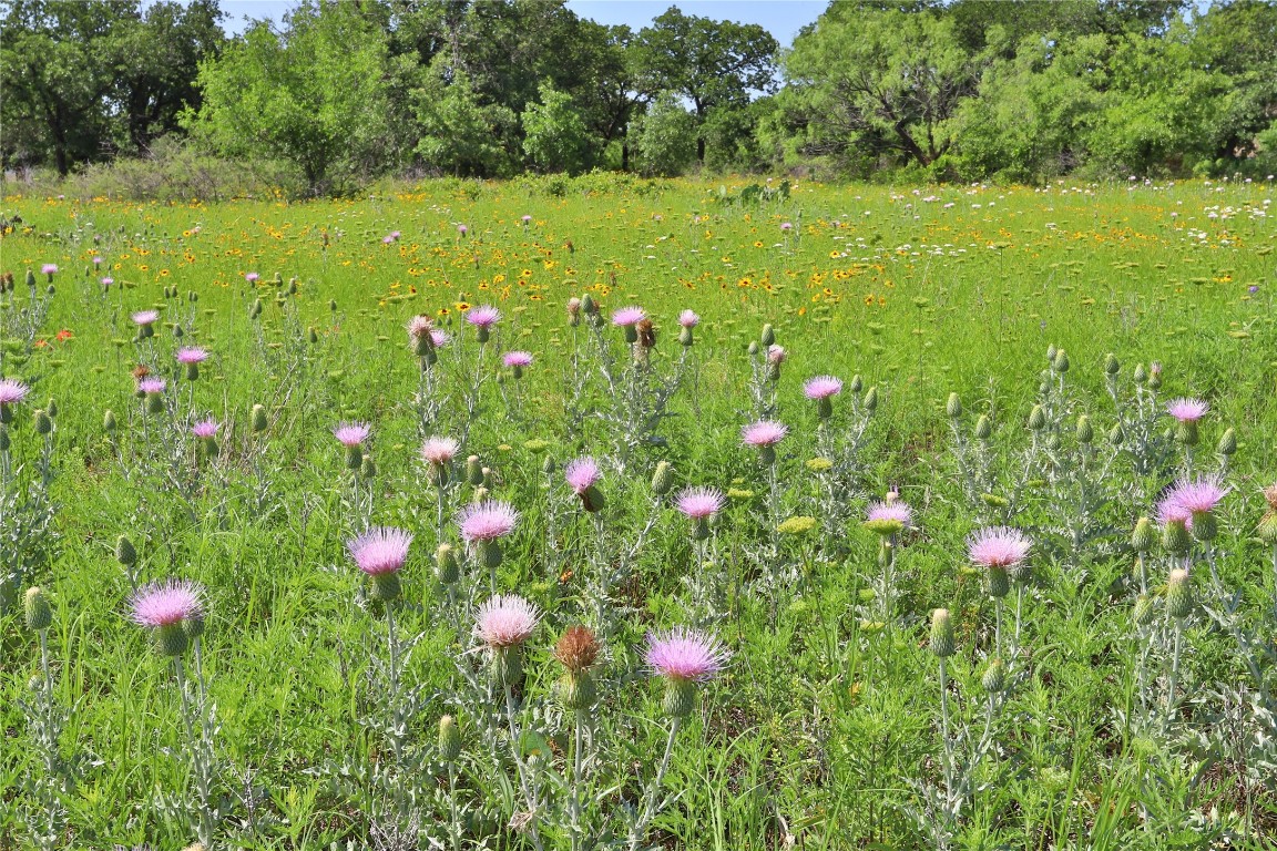 B26 Post Oak Road Gordon TX 76453