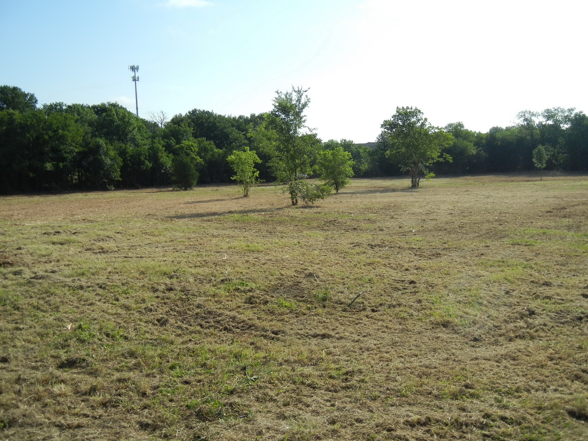 Tbd E Fm 545 (Melissa Road) Melissa TX 75454