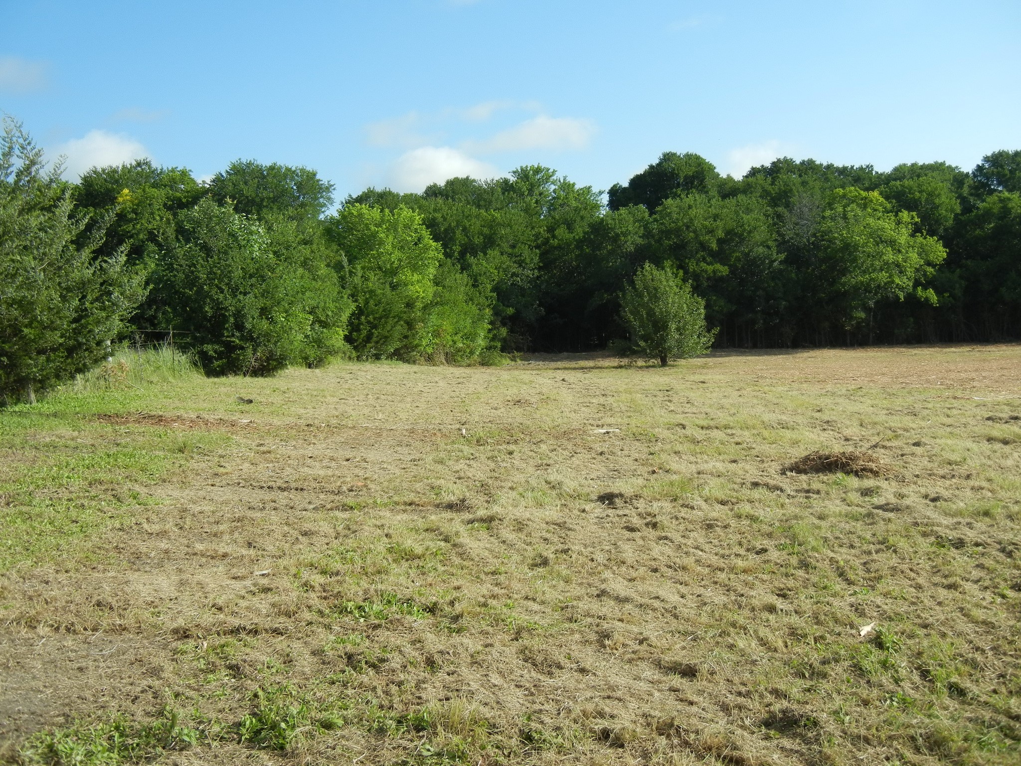 Tbd E Fm 545 (Melissa Road) Melissa TX 75454
