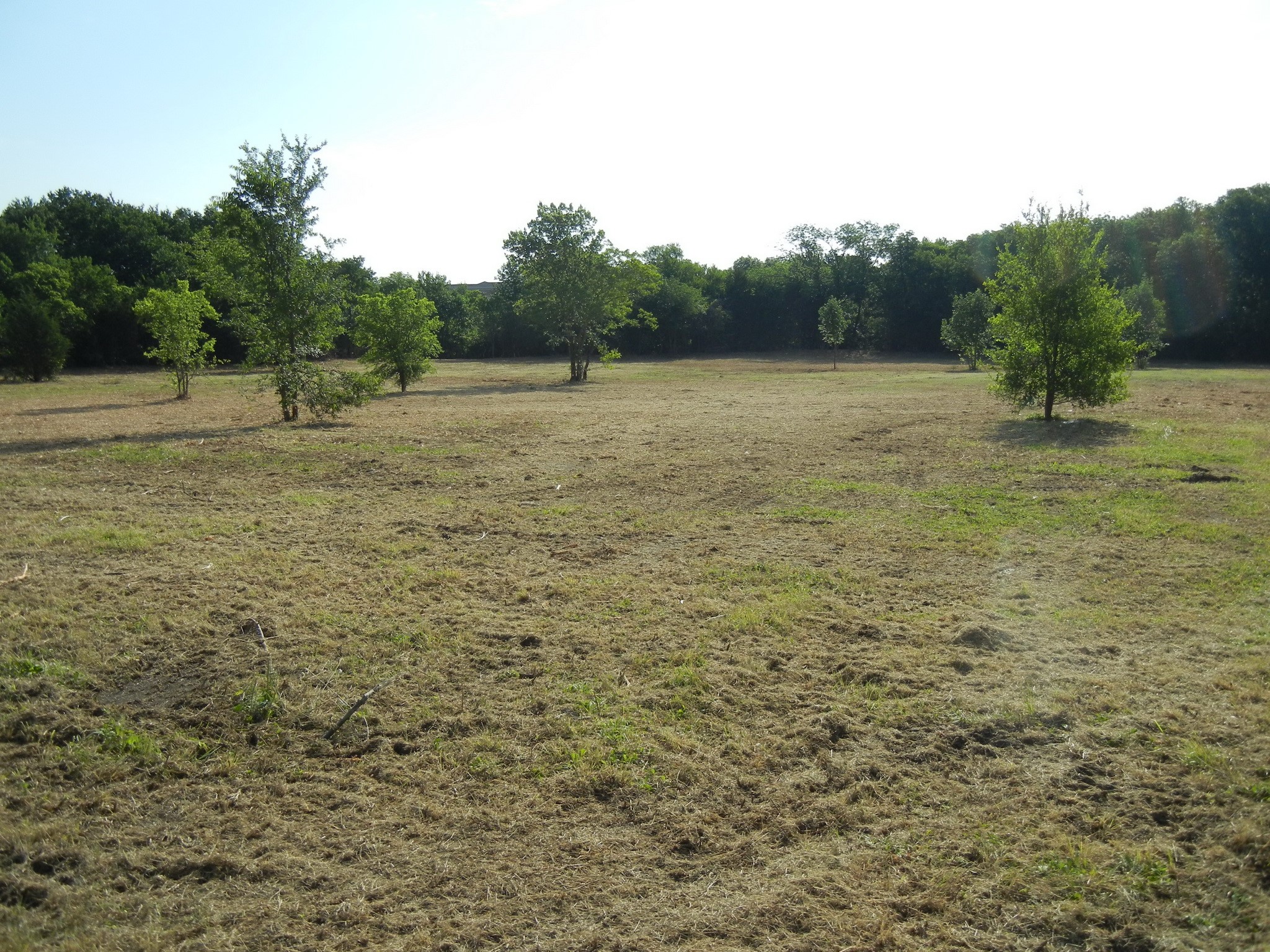 Tbd E Fm 545 (Melissa Road) Melissa TX 75454