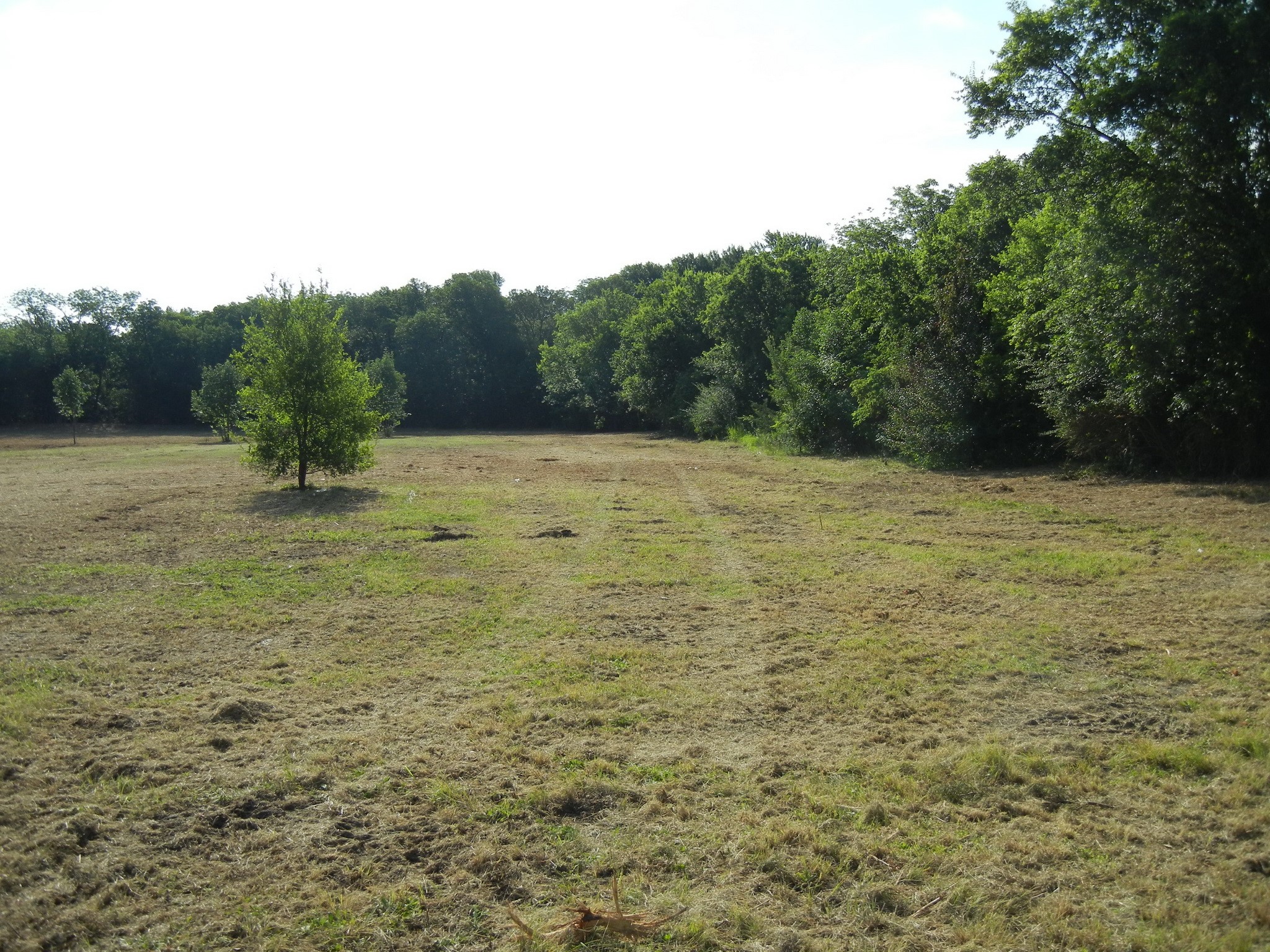 Tbd E Fm 545 (Melissa Road) Melissa TX 75454