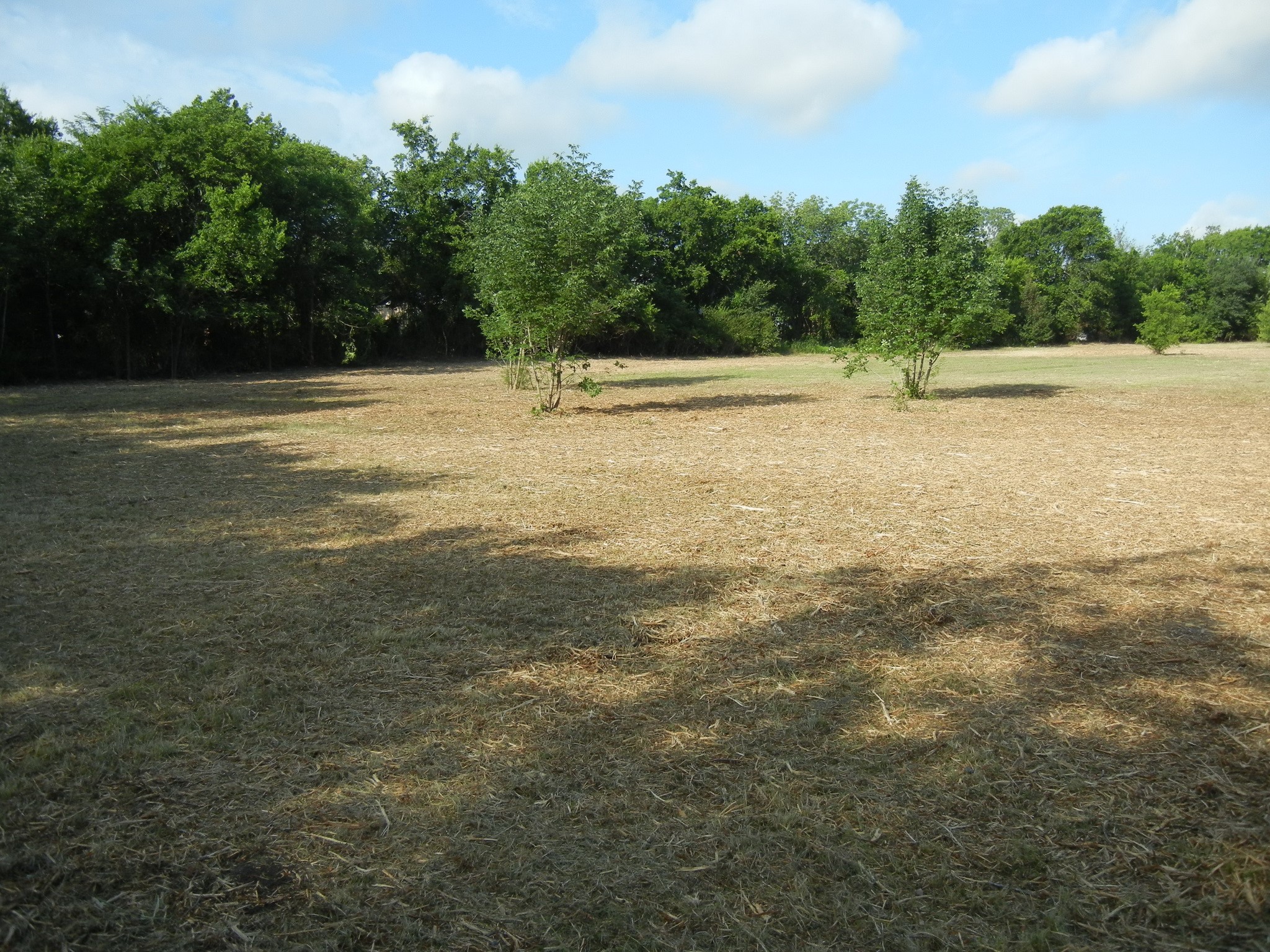 Tbd E Fm 545 (Melissa Road) Melissa TX 75454